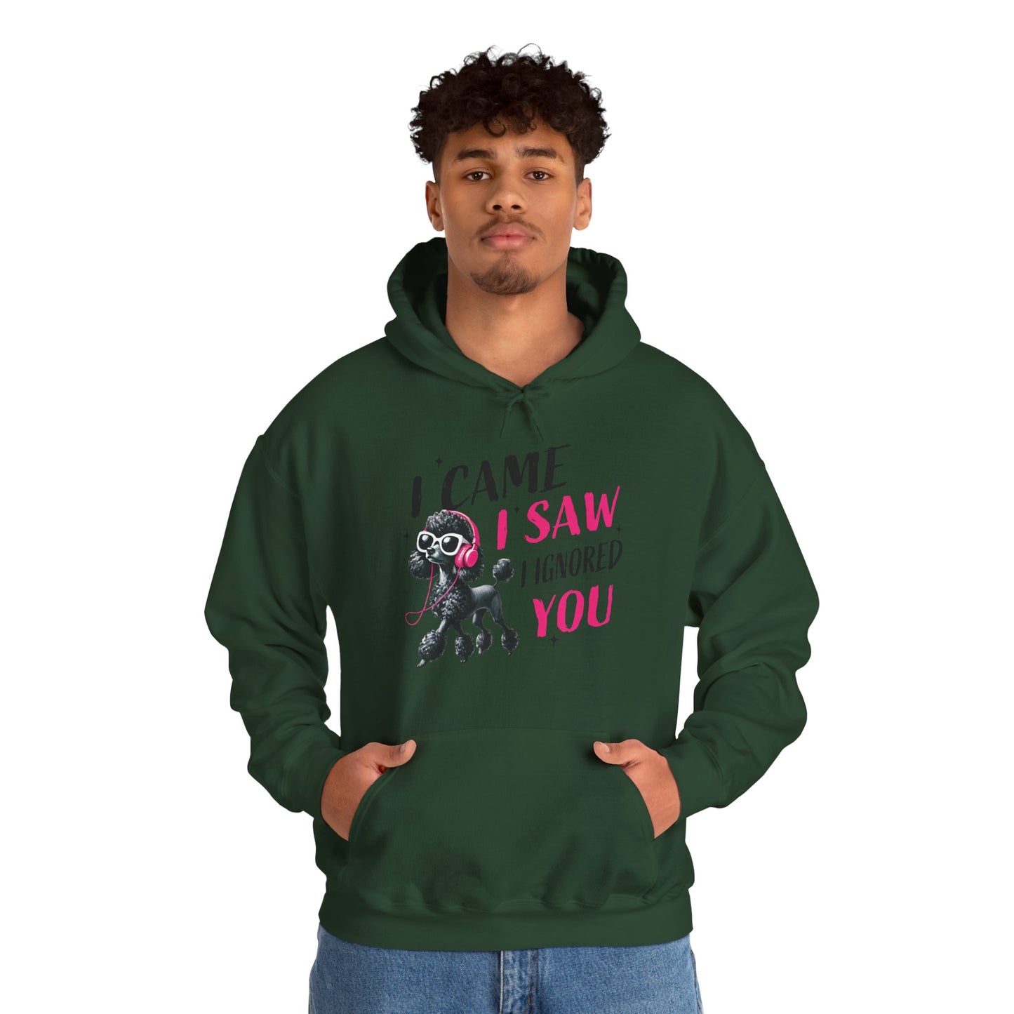 I Came I Saw I Ignored You Hoodie — Funny Dog Poodle Graphic Pullover Hooded Sweatshirt