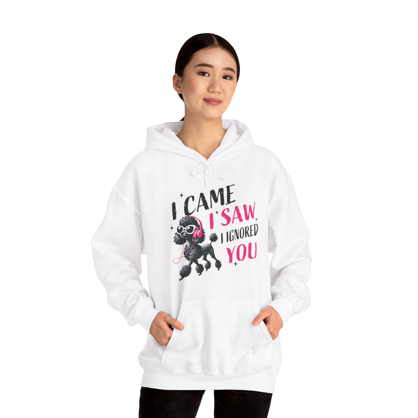 I Came I Saw I Ignored You Hoodie — Funny Dog Poodle Graphic Pullover Hooded Sweatshirt
