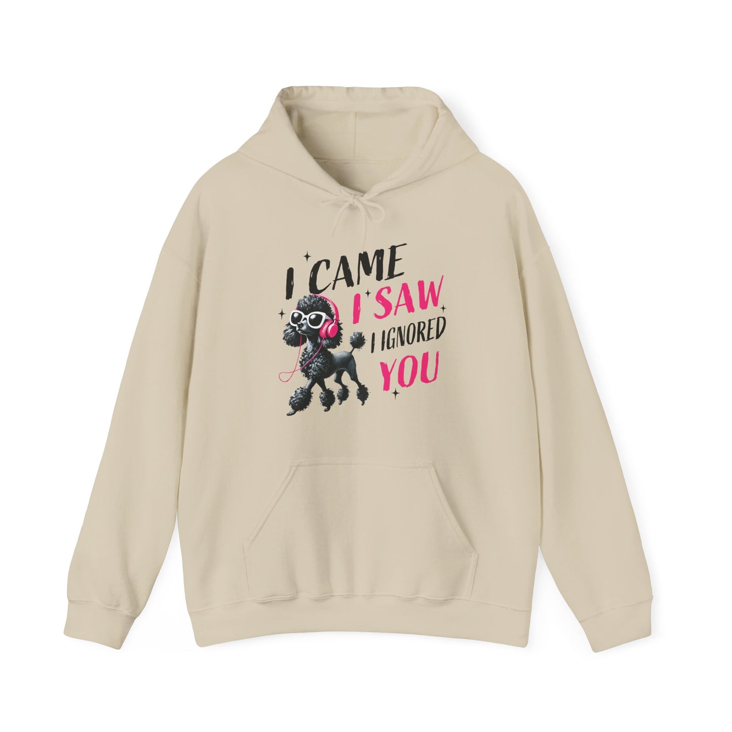 I Came I Saw I Ignored You Hoodie — Funny Dog Poodle Graphic Pullover Hooded Sweatshirt