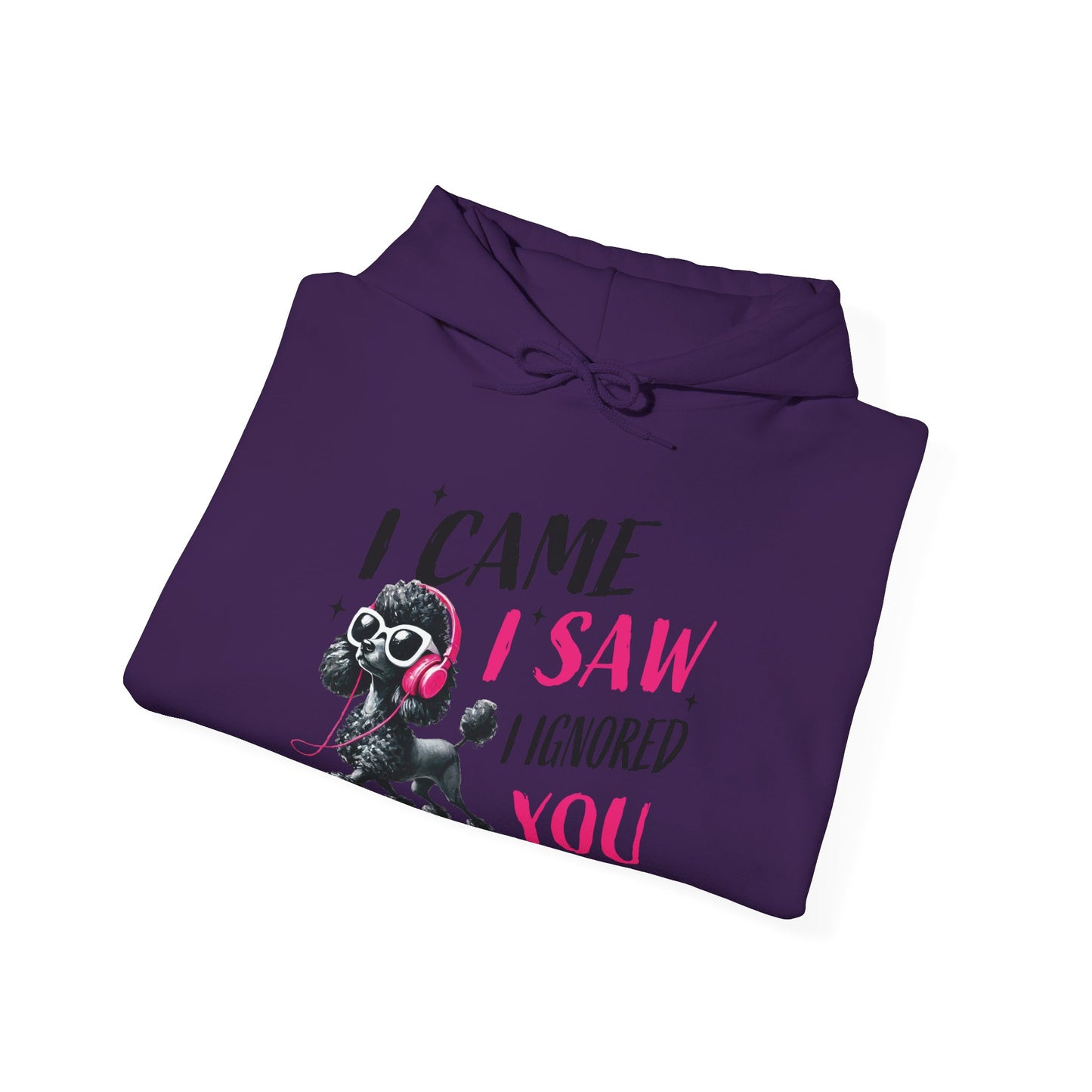 I Came I Saw I Ignored You Hoodie — Funny Dog Poodle Graphic Pullover Hooded Sweatshirt