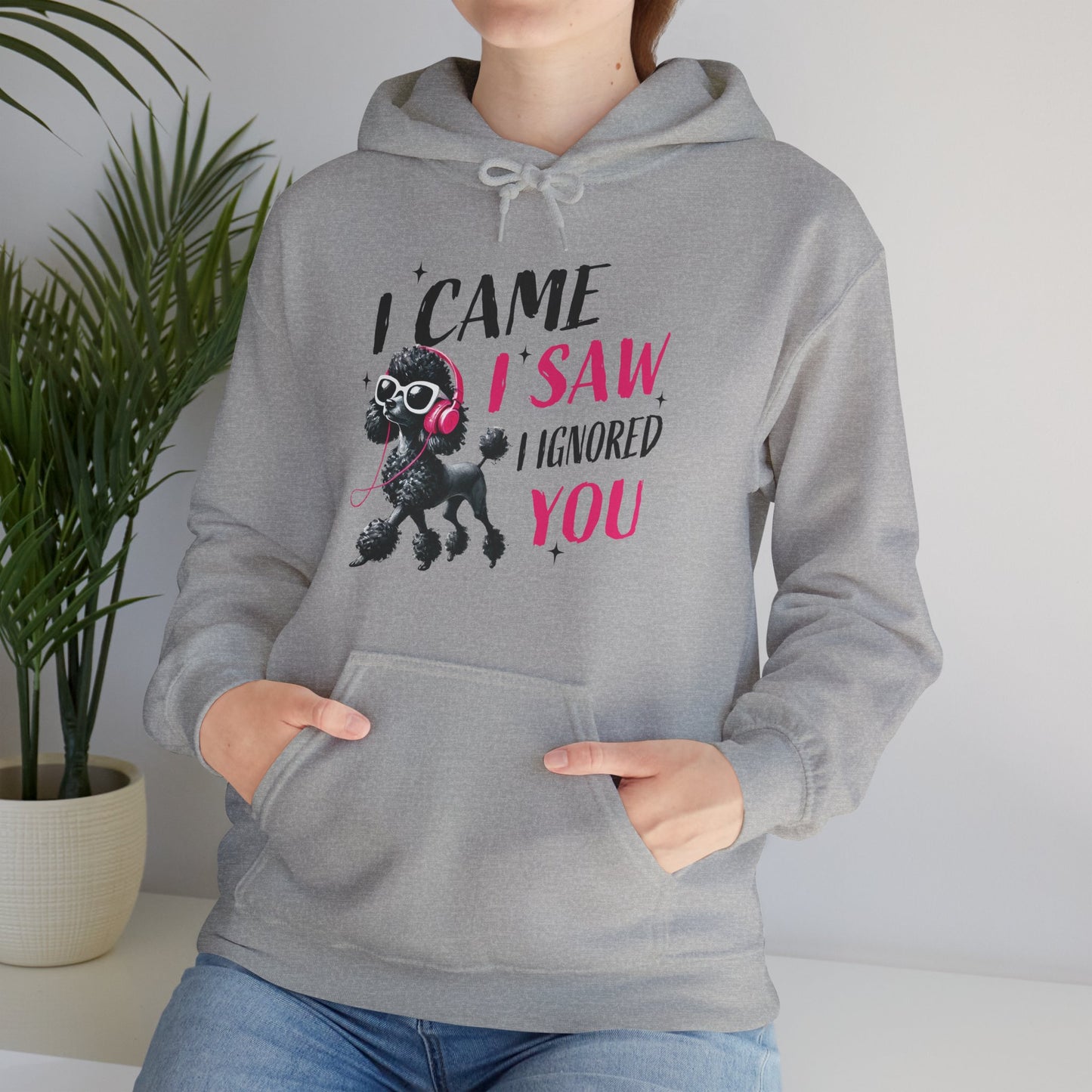 I Came I Saw I Ignored You Hoodie — Funny Dog Poodle Graphic Pullover Hooded Sweatshirt