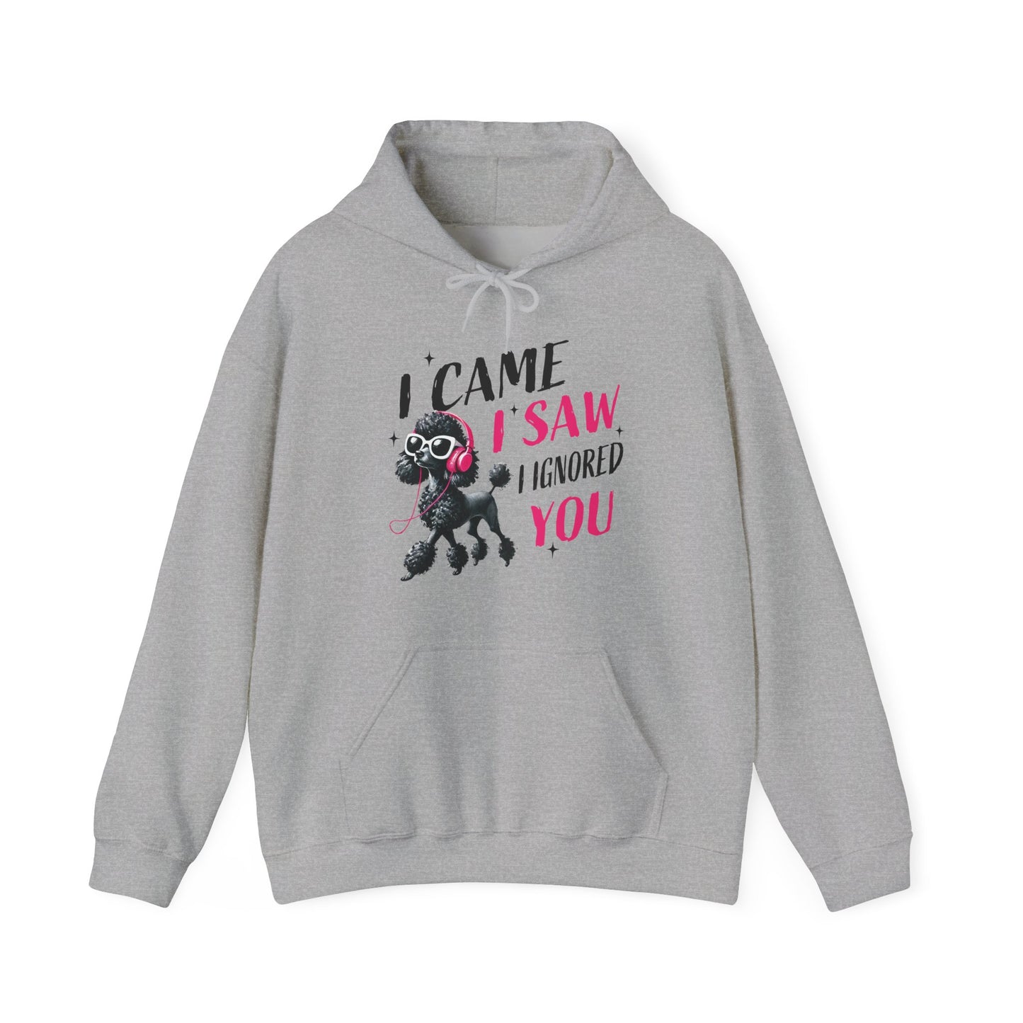 I Came I Saw I Ignored You Hoodie — Funny Dog Poodle Graphic Pullover Hooded Sweatshirt