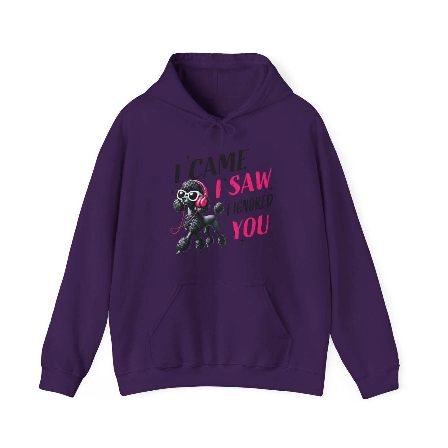 I Came I Saw I Ignored You Hoodie — Funny Dog Poodle Graphic Pullover Hooded Sweatshirt
