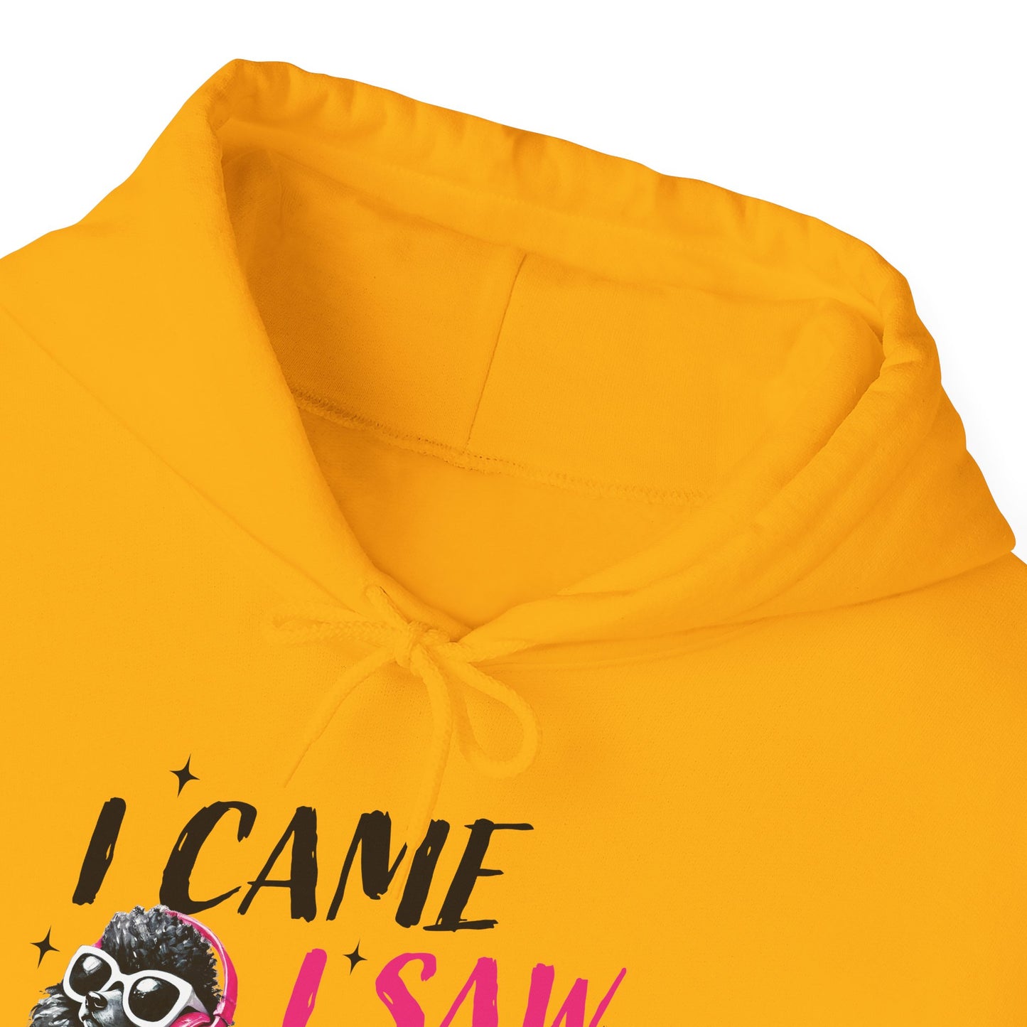 I Came I Saw I Ignored You Hoodie — Funny Dog Poodle Graphic Pullover Hooded Sweatshirt