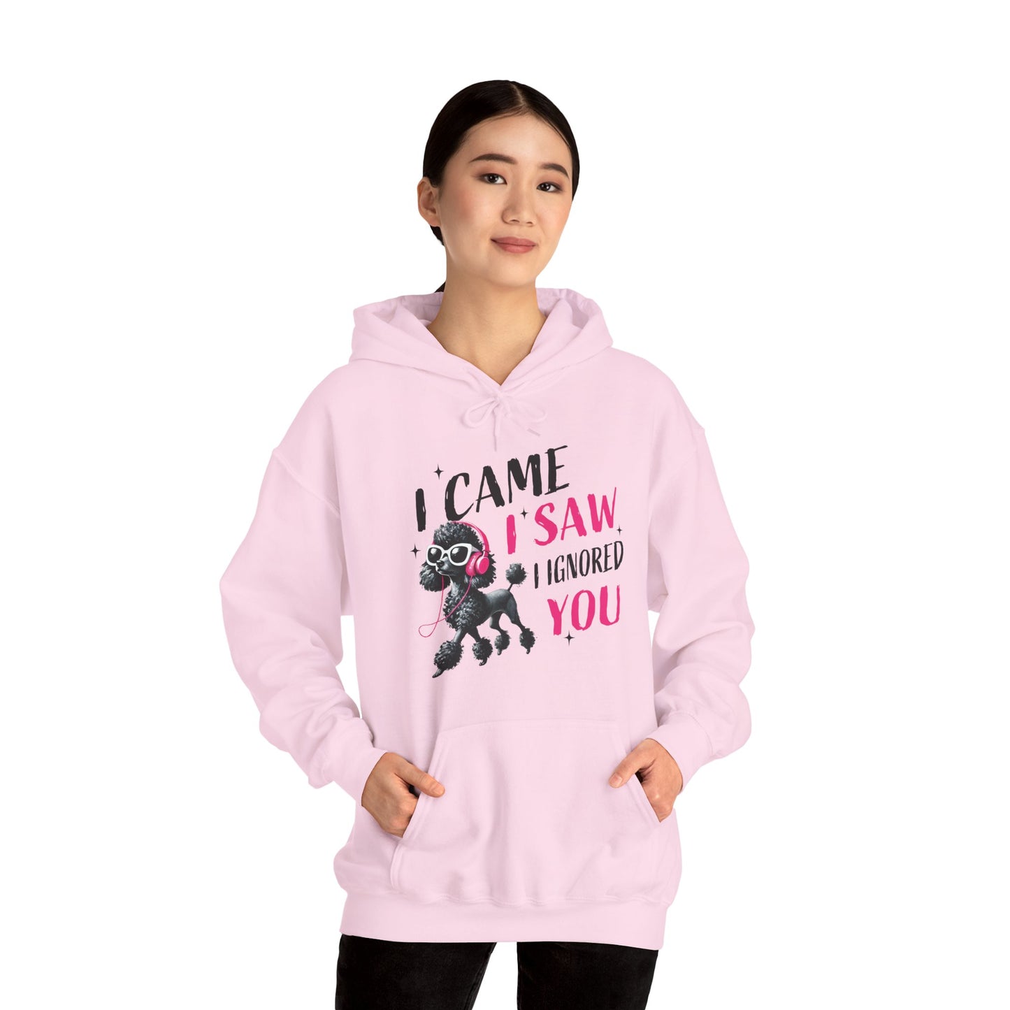 I Came I Saw I Ignored You Hoodie — Funny Dog Poodle Graphic Pullover Hooded Sweatshirt