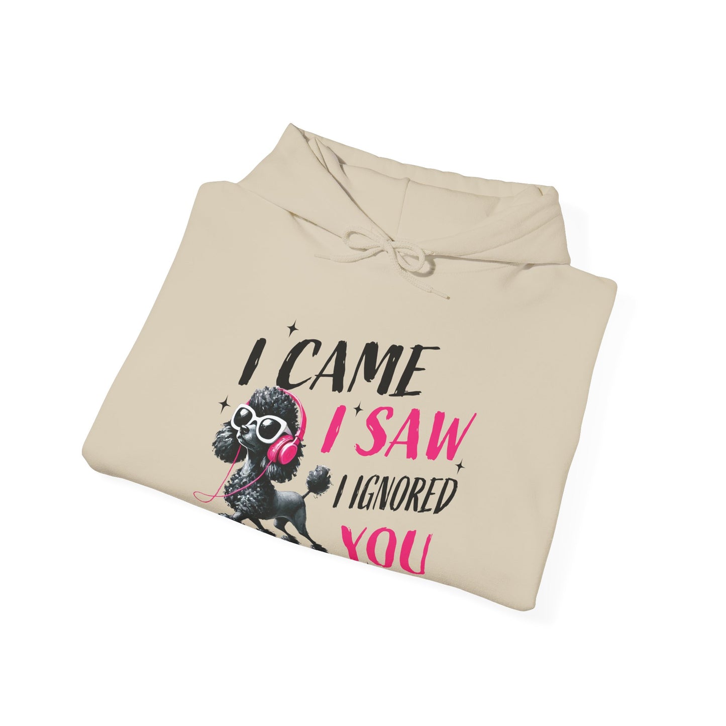 I Came I Saw I Ignored You Hoodie — Funny Dog Poodle Graphic Pullover Hooded Sweatshirt