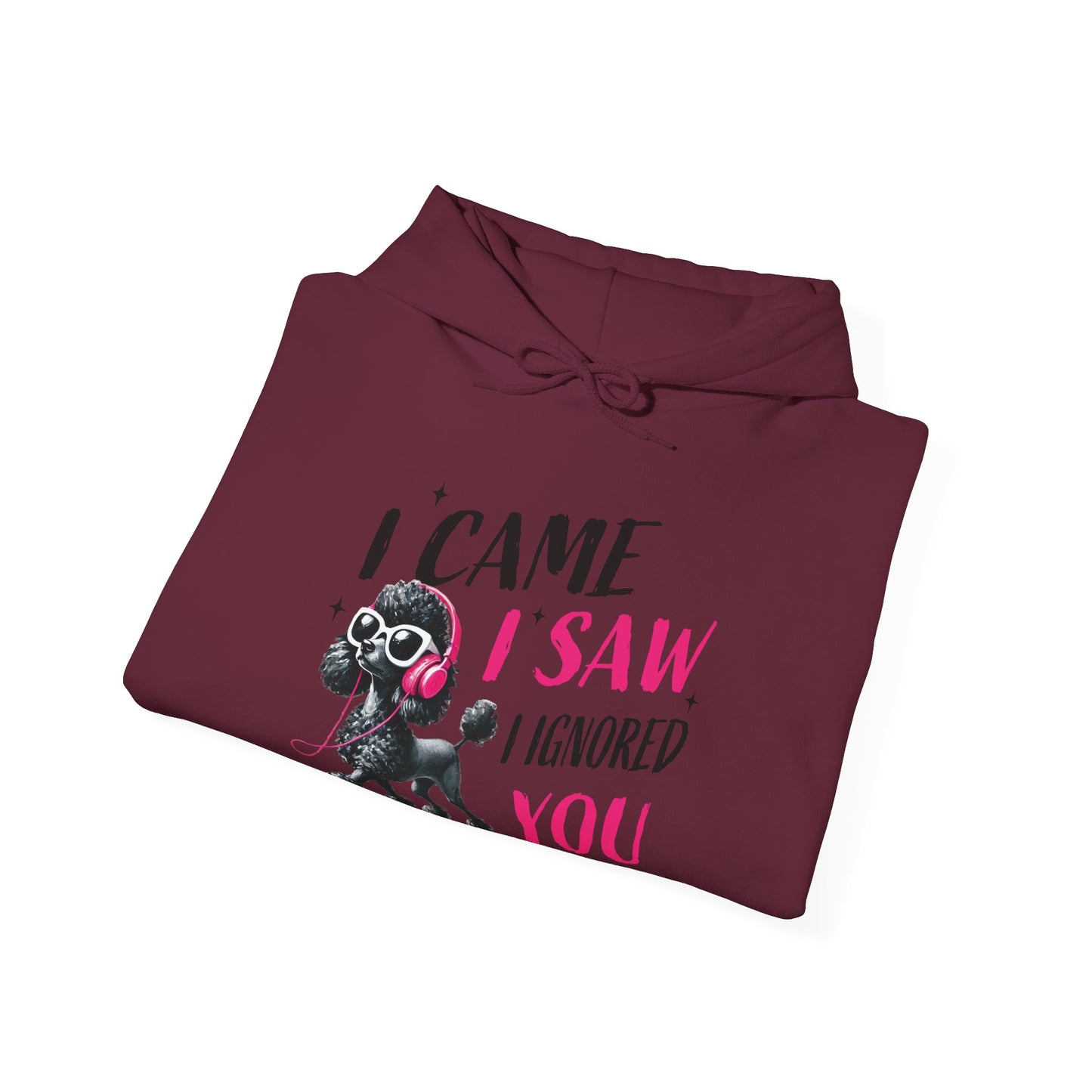 I Came I Saw I Ignored You Hoodie — Funny Dog Poodle Graphic Pullover Hooded Sweatshirt