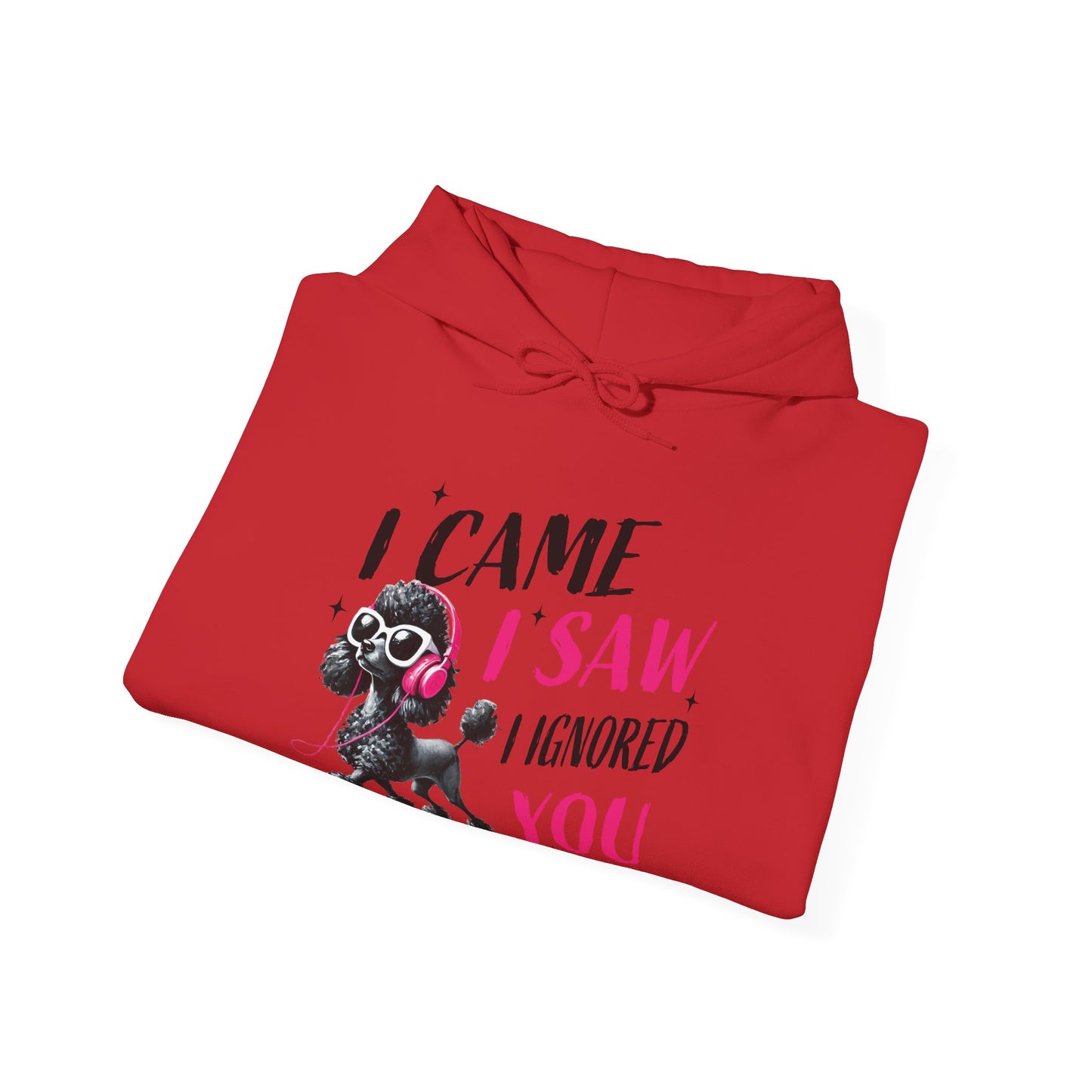 I Came I Saw I Ignored You Hoodie — Funny Dog Poodle Graphic Pullover Hooded Sweatshirt