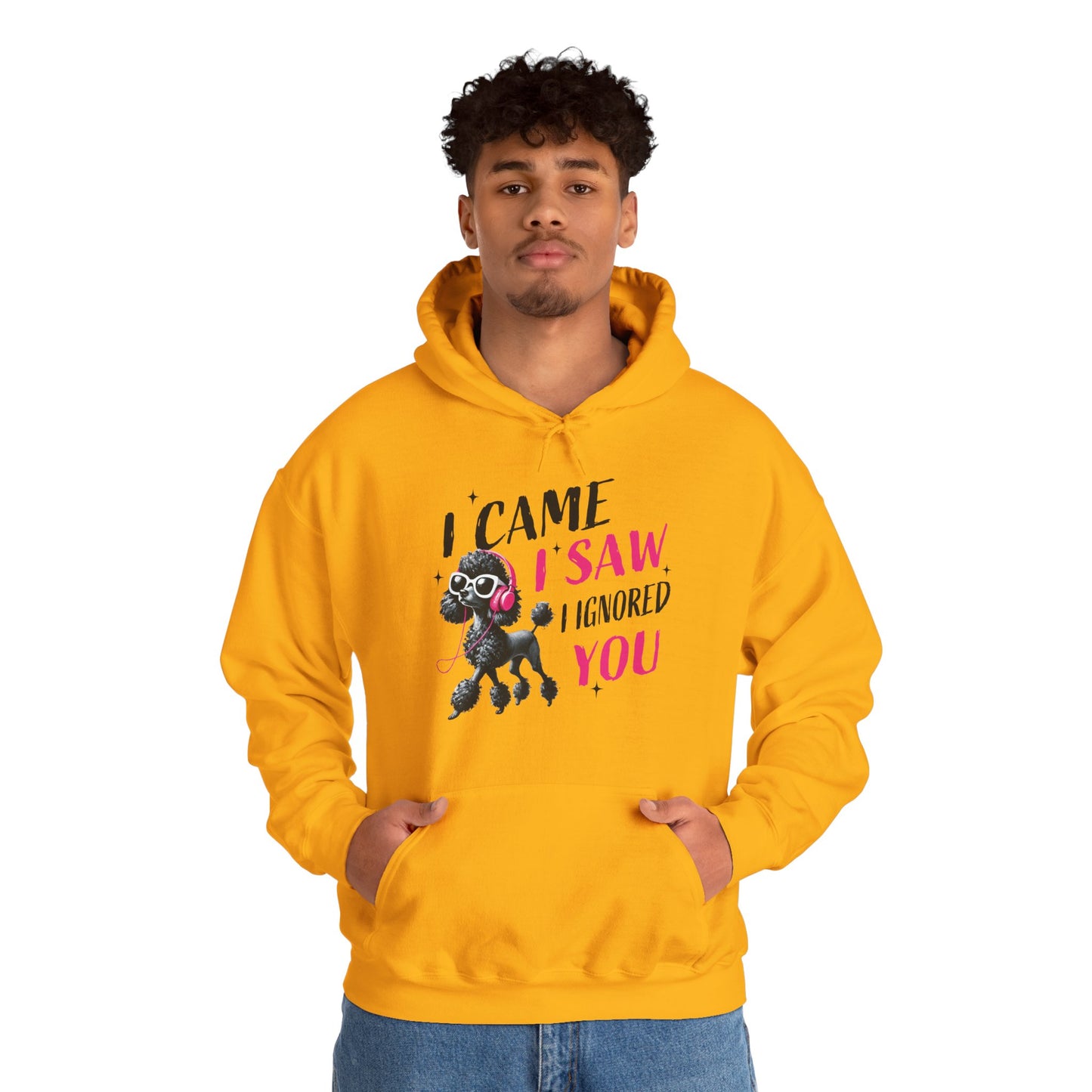 I Came I Saw I Ignored You Hoodie — Funny Dog Poodle Graphic Pullover Hooded Sweatshirt