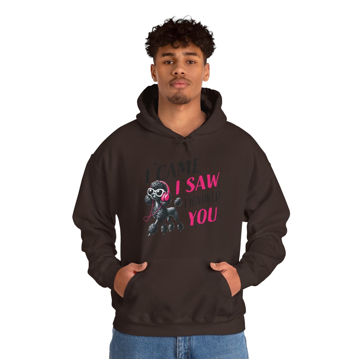 I Came I Saw I Ignored You Hoodie — Funny Dog Poodle Graphic Pullover Hooded Sweatshirt