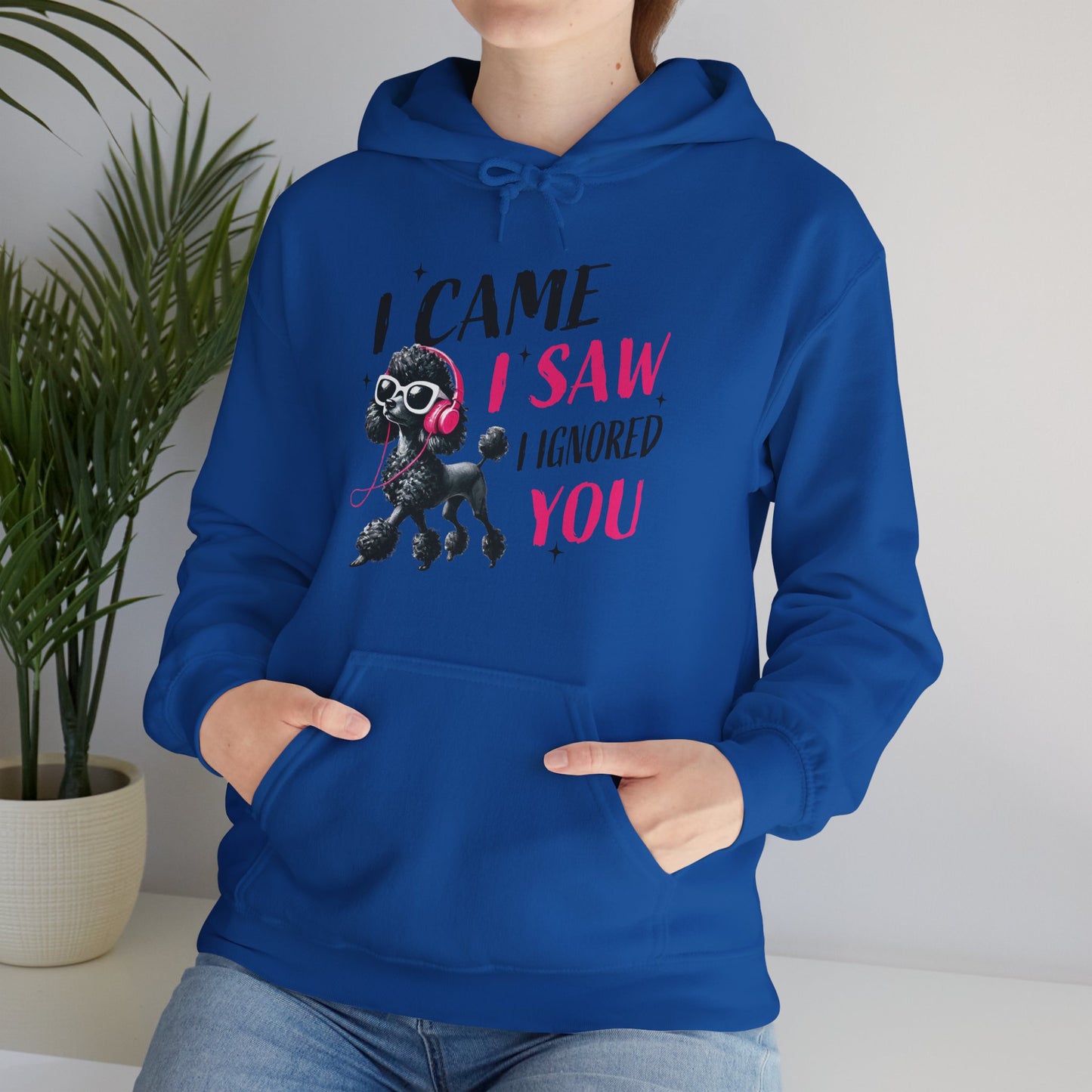 I Came I Saw I Ignored You Hoodie — Funny Dog Poodle Graphic Pullover Hooded Sweatshirt