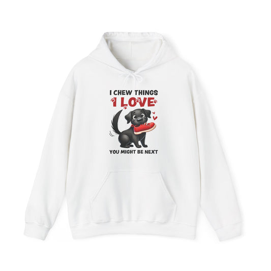 Funny Pet Dog Owner Lover Hoodie — “I Chew Things I Love You Might Be Next” Cute Black Dog Graphic Hooded Sweatshirt Gift