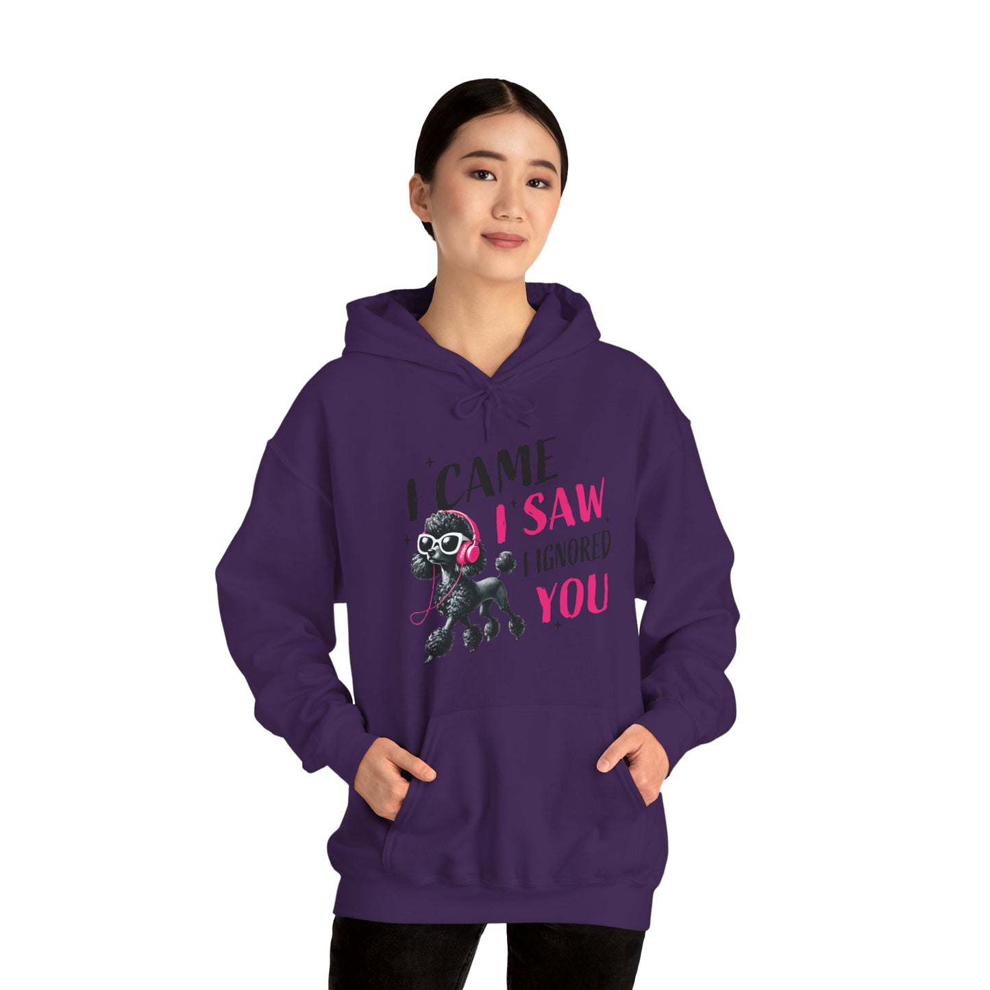 I Came I Saw I Ignored You Hoodie — Funny Dog Poodle Graphic Pullover Hooded Sweatshirt