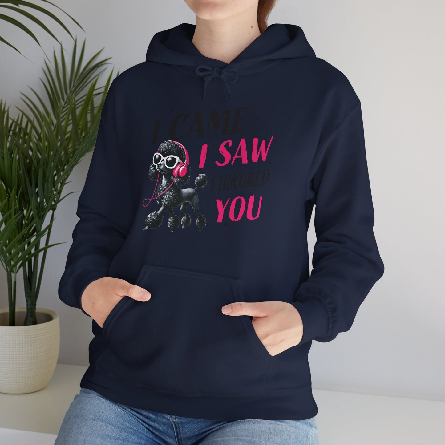 I Came I Saw I Ignored You Hoodie — Funny Dog Poodle Graphic Pullover Hooded Sweatshirt