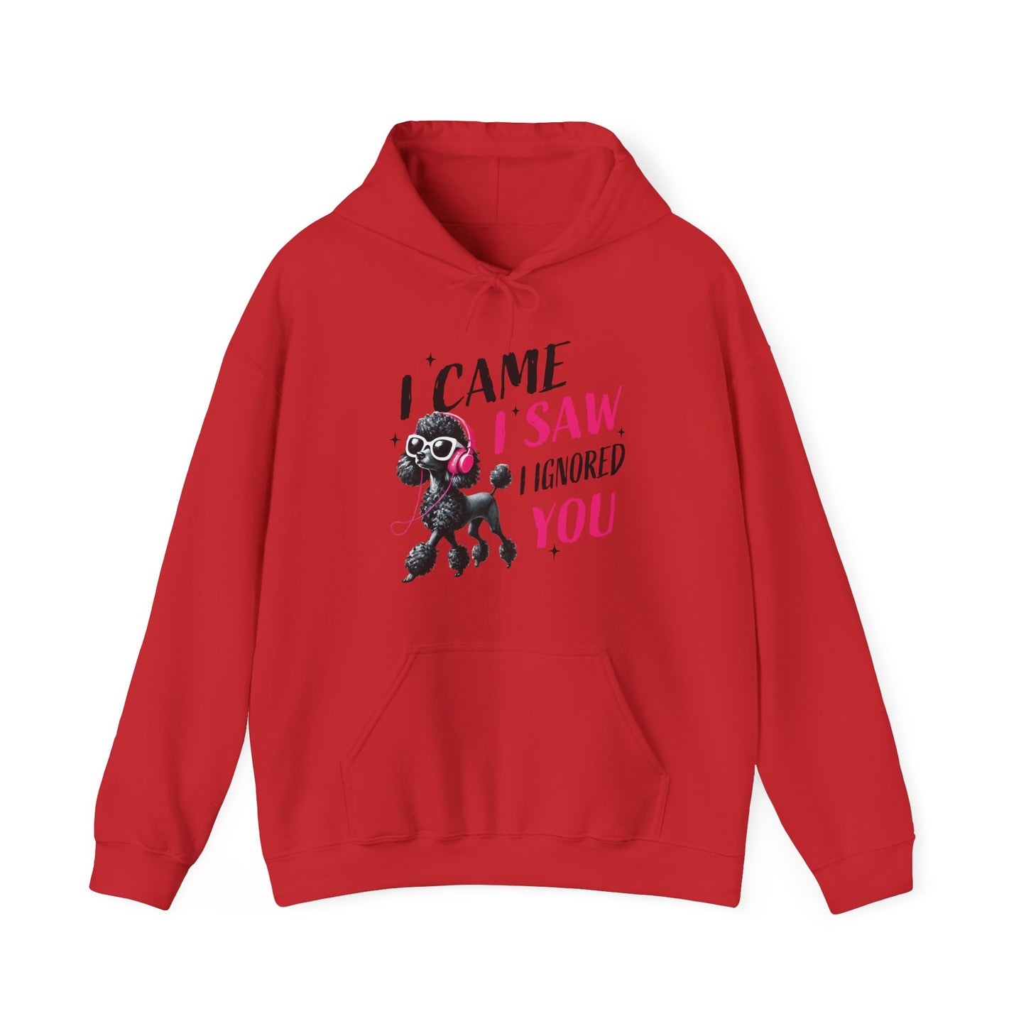 I Came I Saw I Ignored You Hoodie — Funny Dog Poodle Graphic Pullover Hooded Sweatshirt