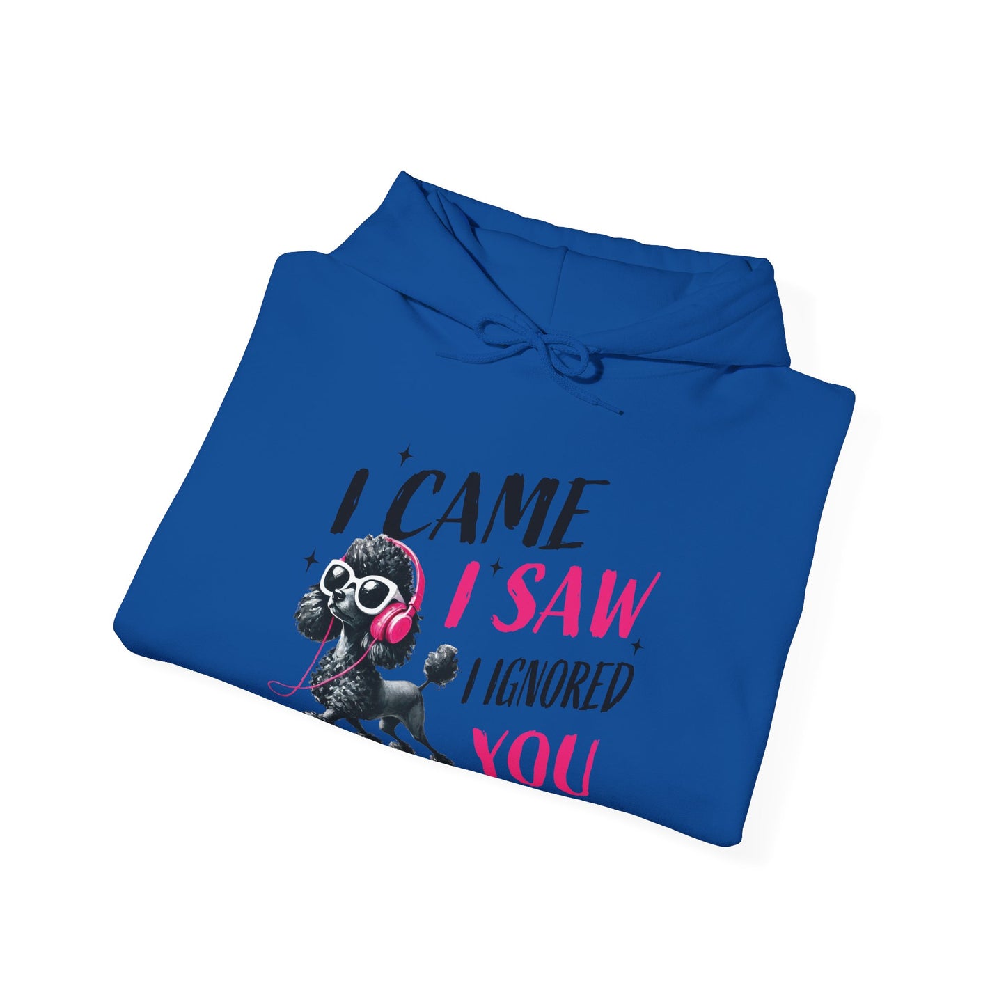 I Came I Saw I Ignored You Hoodie — Funny Dog Poodle Graphic Pullover Hooded Sweatshirt