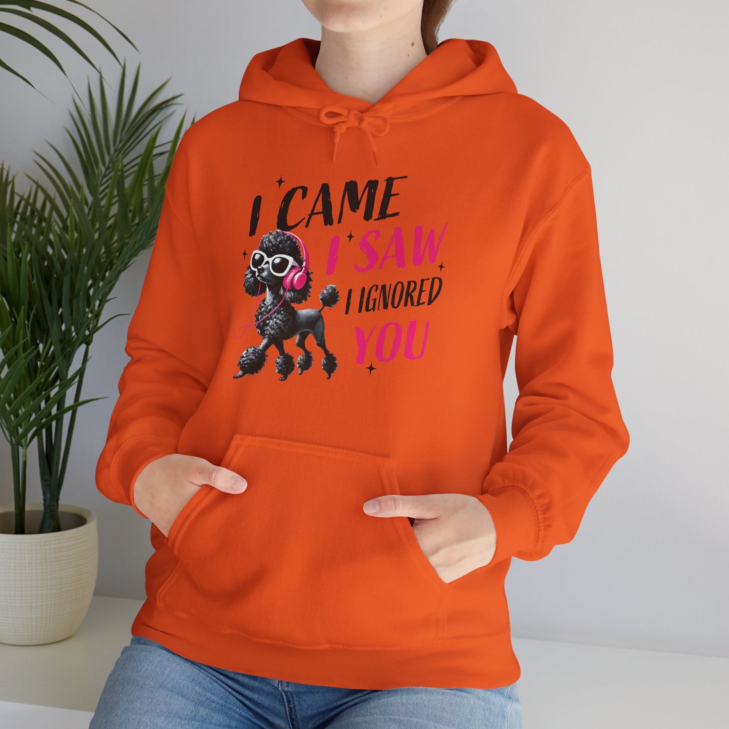 I Came I Saw I Ignored You Hoodie — Funny Dog Poodle Graphic Pullover Hooded Sweatshirt