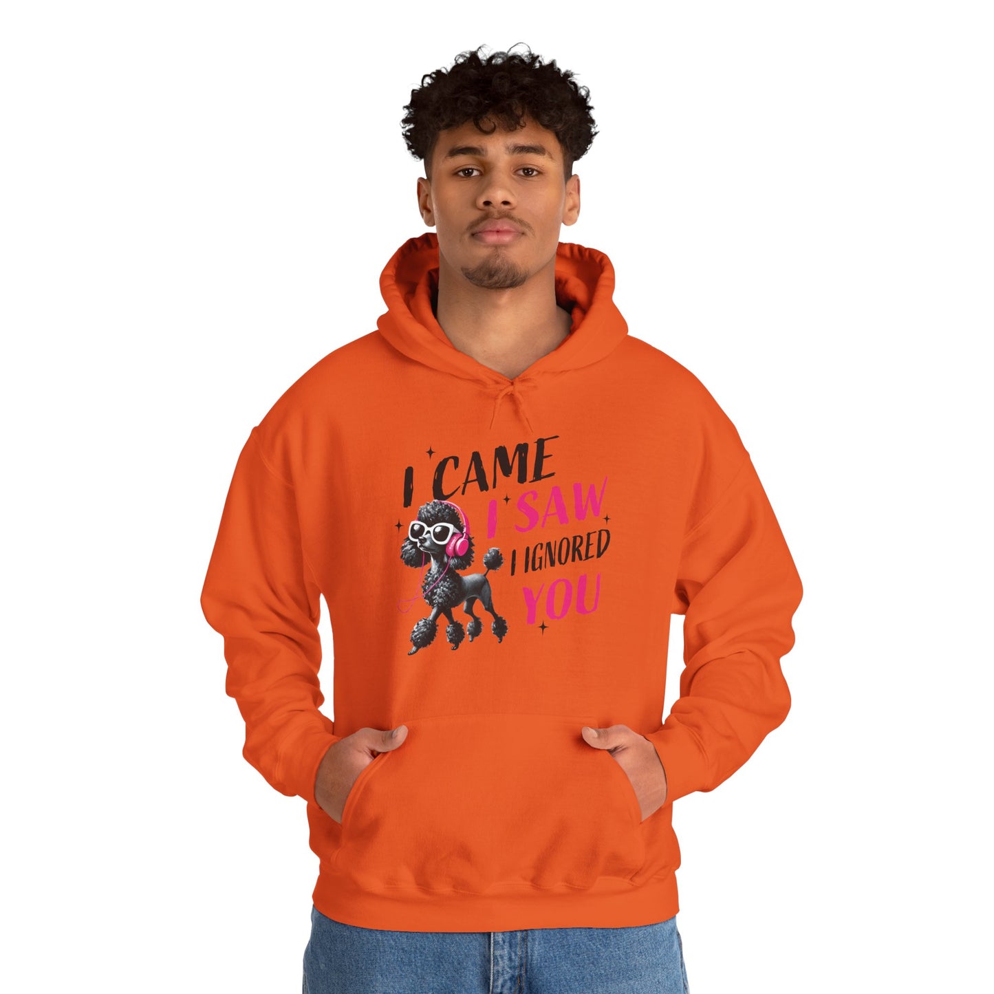 I Came I Saw I Ignored You Hoodie — Funny Dog Poodle Graphic Pullover Hooded Sweatshirt