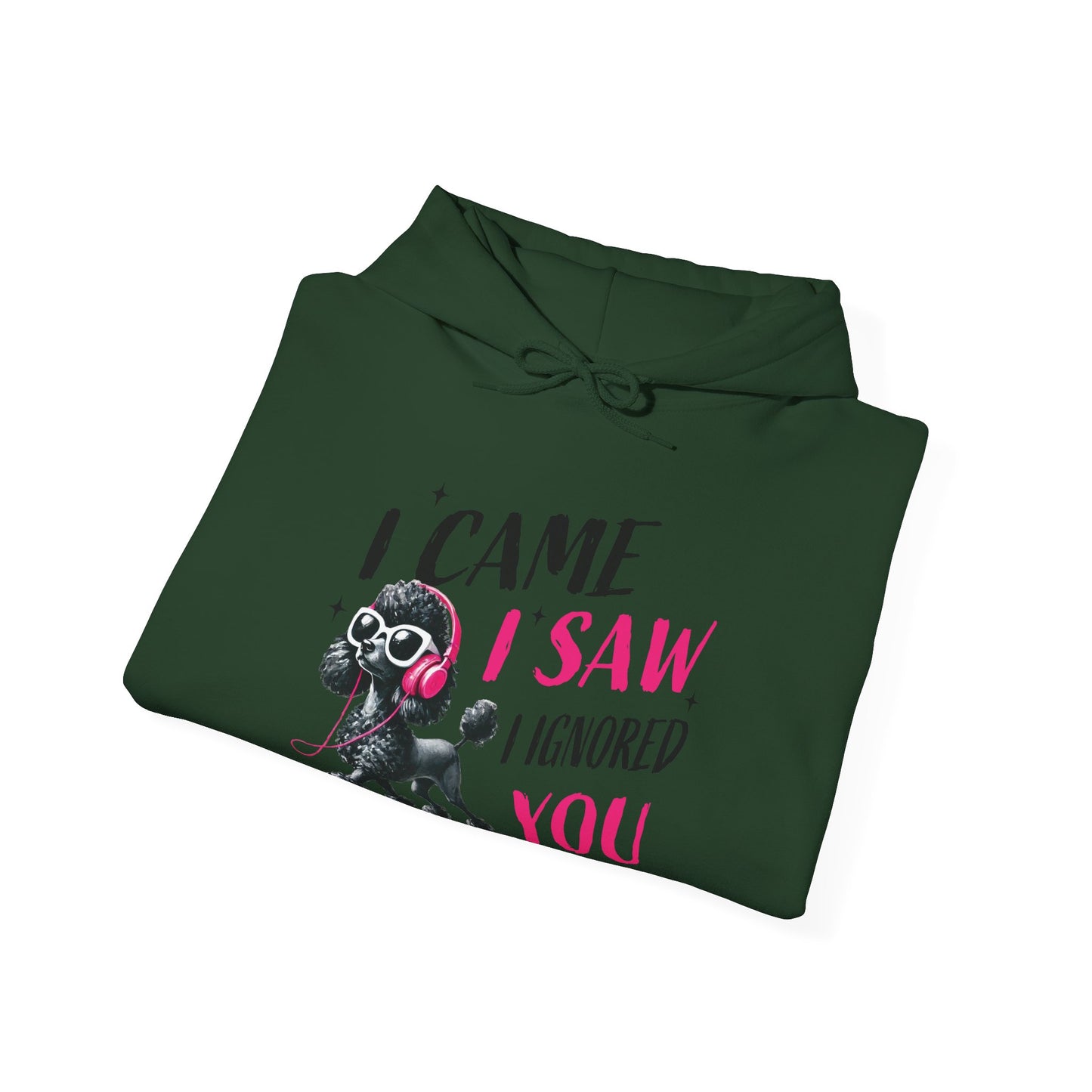I Came I Saw I Ignored You Hoodie — Funny Dog Poodle Graphic Pullover Hooded Sweatshirt