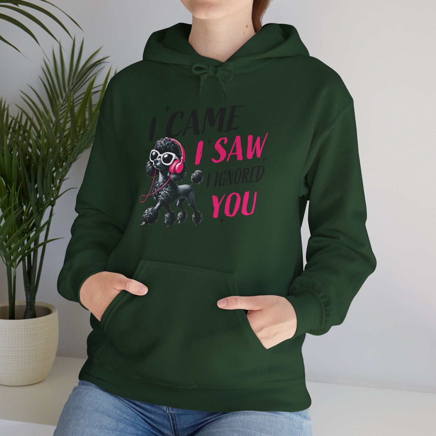 I Came I Saw I Ignored You Hoodie — Funny Dog Poodle Graphic Pullover Hooded Sweatshirt