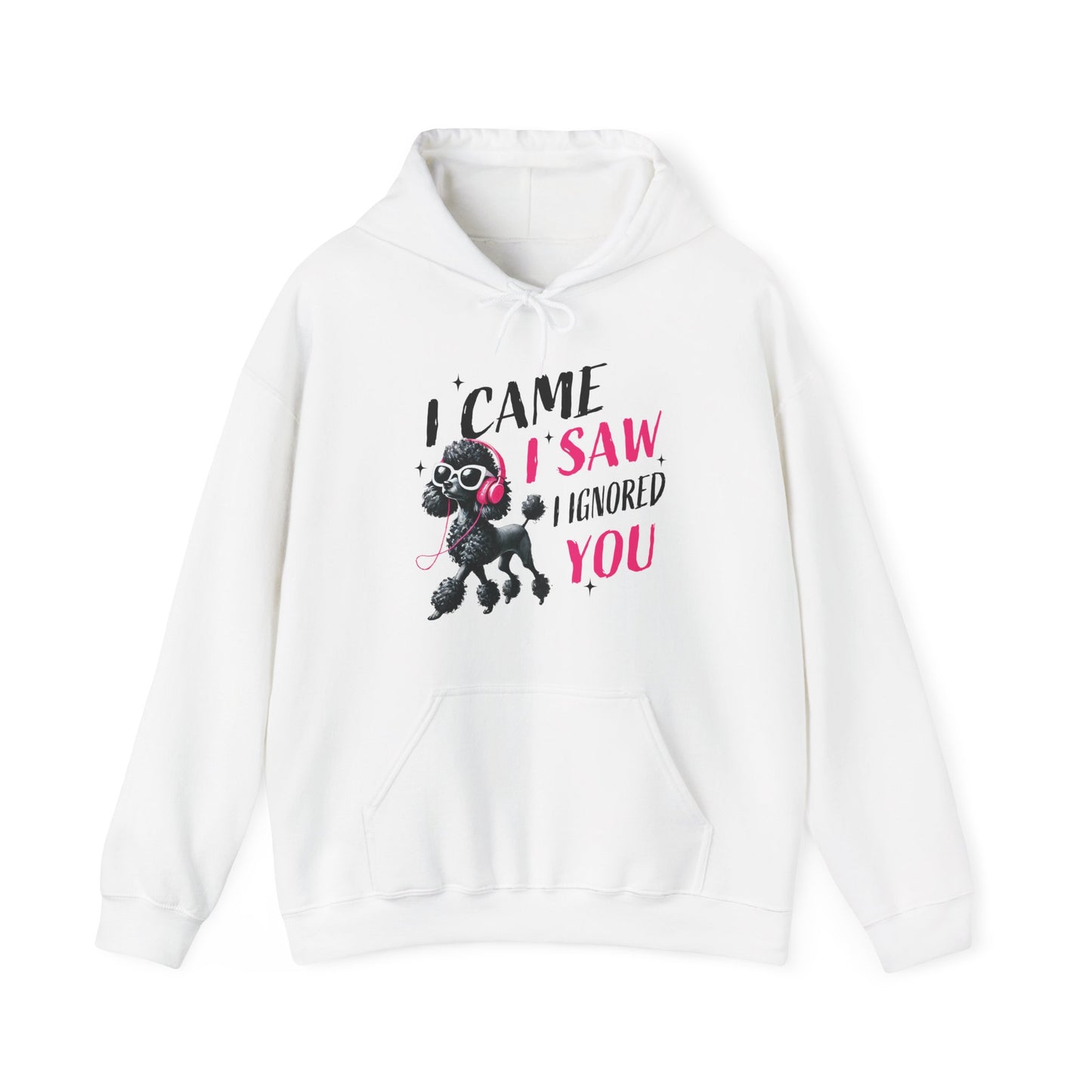 I Came I Saw I Ignored You Hoodie — Funny Dog Poodle Graphic Pullover Hooded Sweatshirt