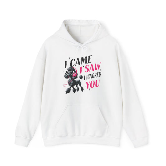 I Came I Saw I Ignored You Hoodie — Funny Dog Poodle Graphic Pullover Hooded Sweatshirt