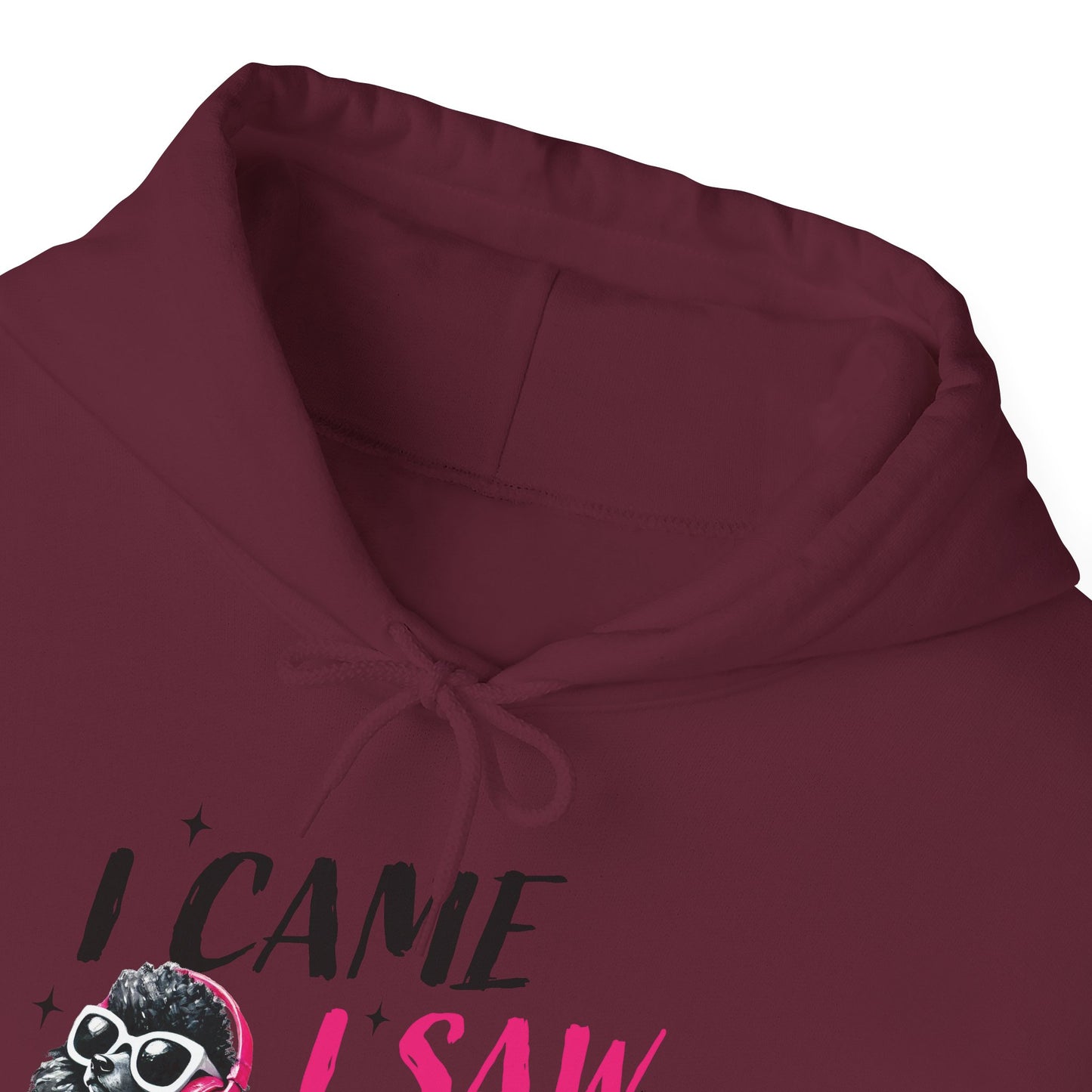 I Came I Saw I Ignored You Hoodie — Funny Dog Poodle Graphic Pullover Hooded Sweatshirt