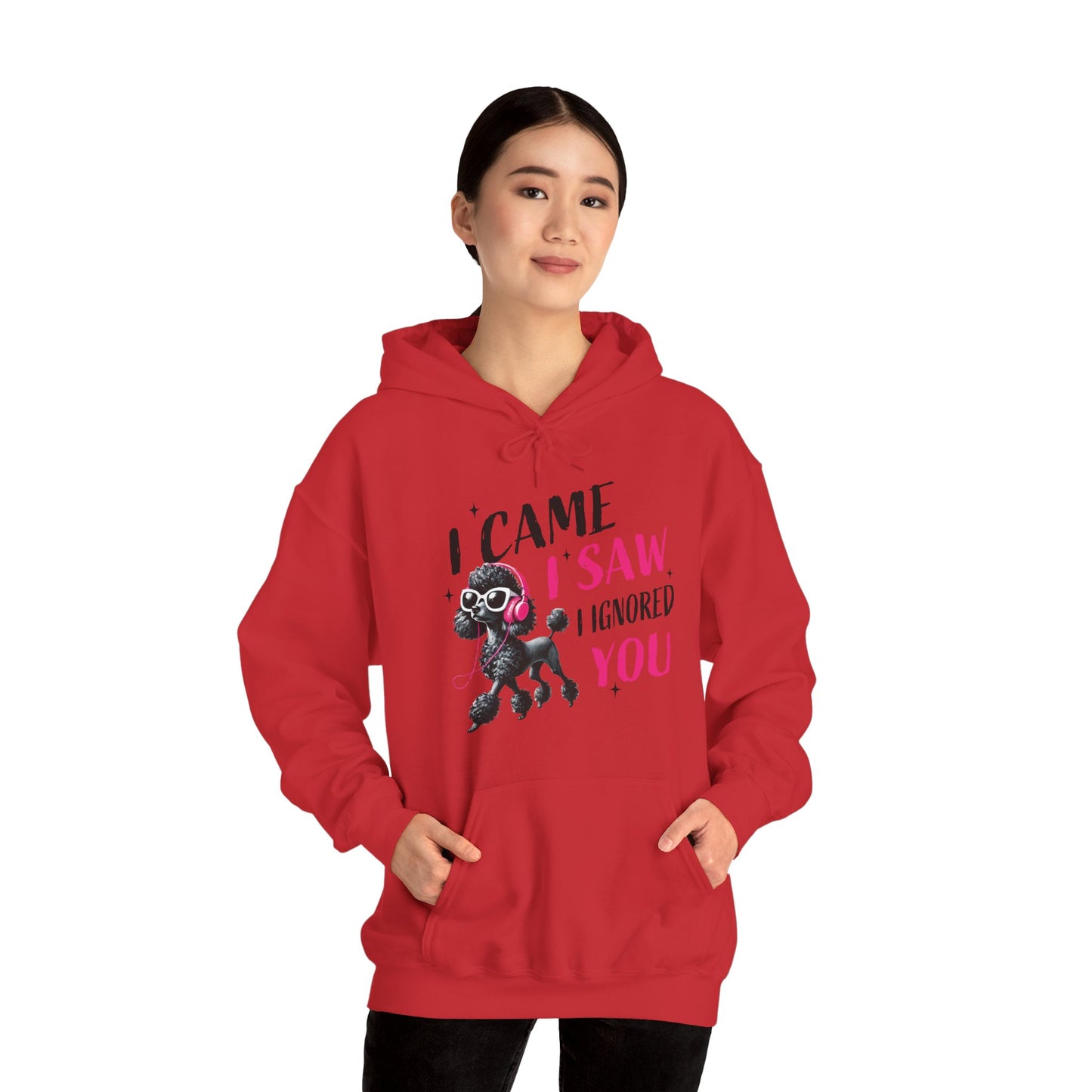 I Came I Saw I Ignored You Hoodie — Funny Dog Poodle Graphic Pullover Hooded Sweatshirt