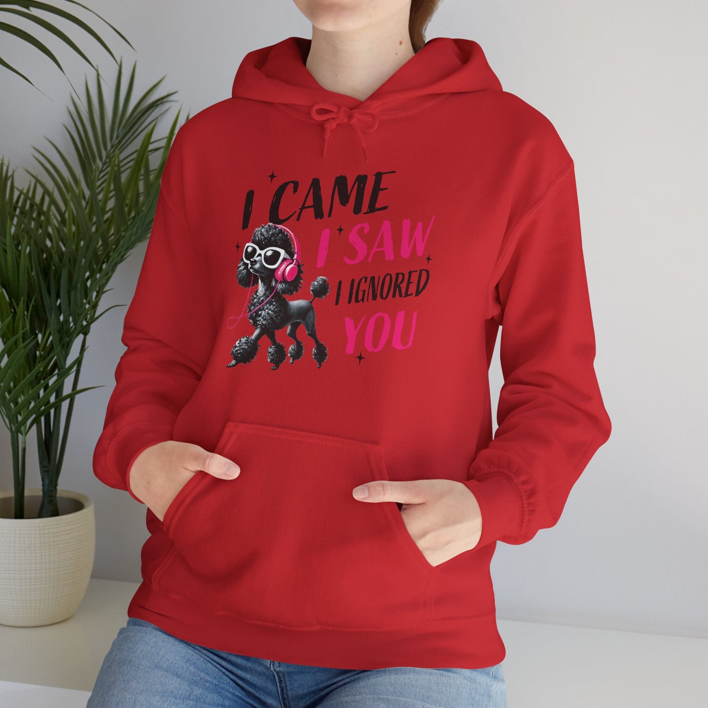 I Came I Saw I Ignored You Hoodie — Funny Dog Poodle Graphic Pullover Hooded Sweatshirt