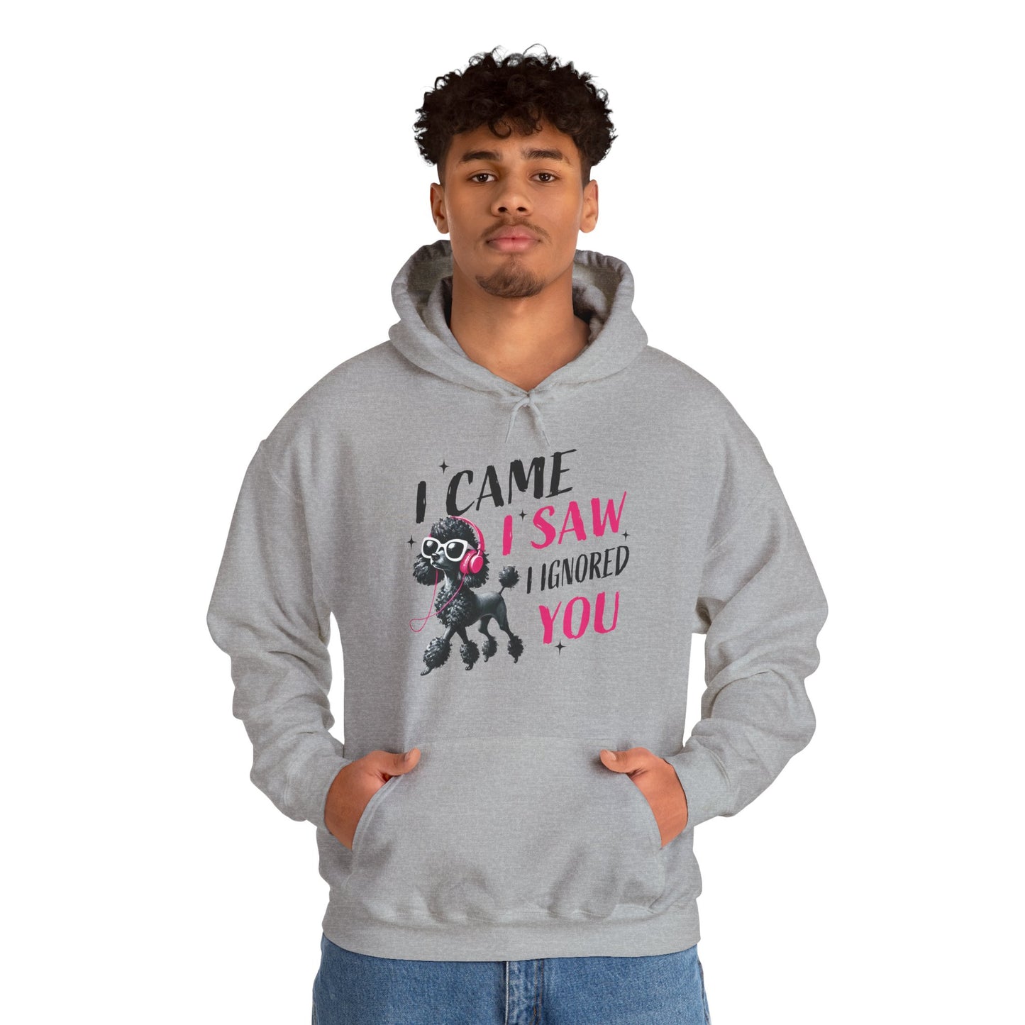 I Came I Saw I Ignored You Hoodie — Funny Dog Poodle Graphic Pullover Hooded Sweatshirt
