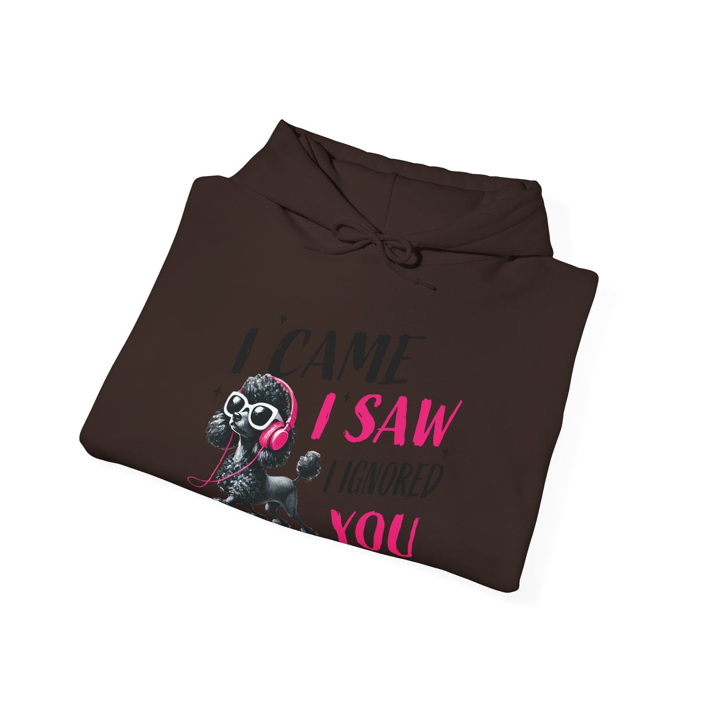 I Came I Saw I Ignored You Hoodie — Funny Dog Poodle Graphic Pullover Hooded Sweatshirt