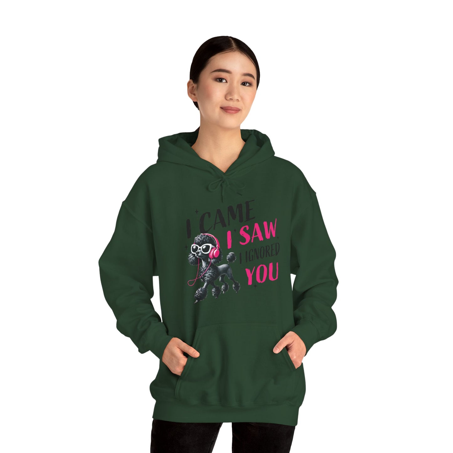 I Came I Saw I Ignored You Hoodie — Funny Dog Poodle Graphic Pullover Hooded Sweatshirt