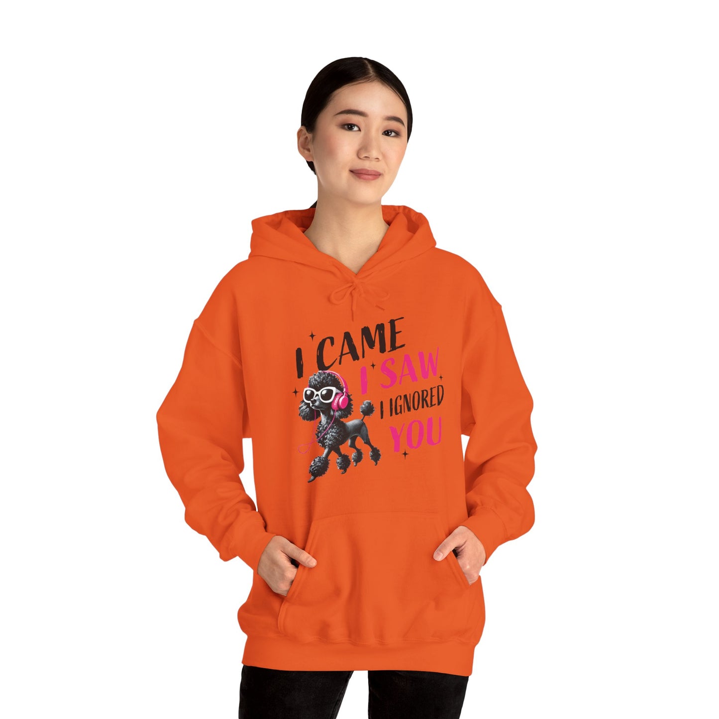 I Came I Saw I Ignored You Hoodie — Funny Dog Poodle Graphic Pullover Hooded Sweatshirt