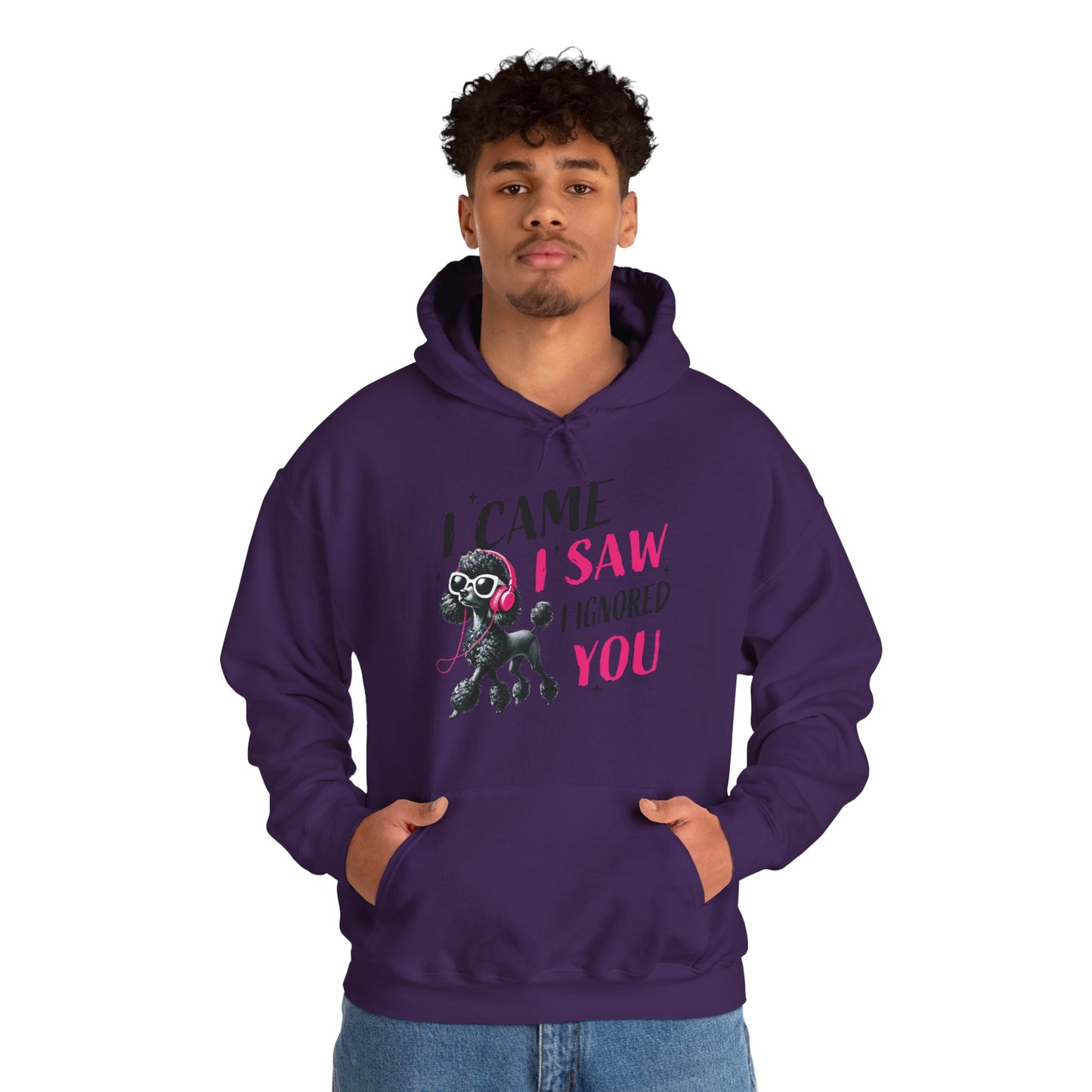 I Came I Saw I Ignored You Hoodie — Funny Dog Poodle Graphic Pullover Hooded Sweatshirt