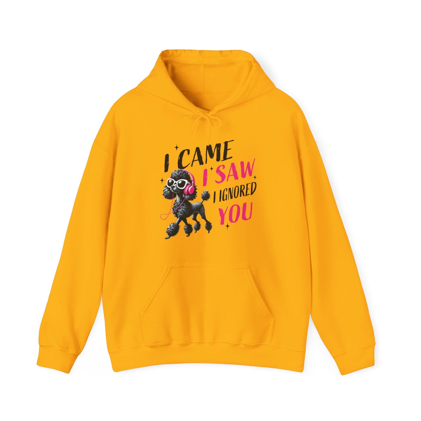 I Came I Saw I Ignored You Hoodie — Funny Dog Poodle Graphic Pullover Hooded Sweatshirt