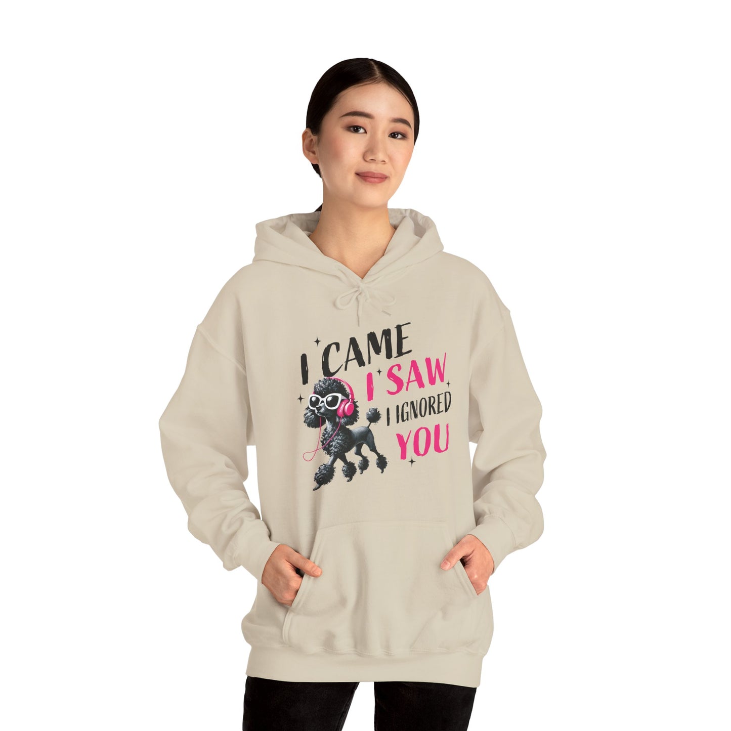 I Came I Saw I Ignored You Hoodie — Funny Dog Poodle Graphic Pullover Hooded Sweatshirt