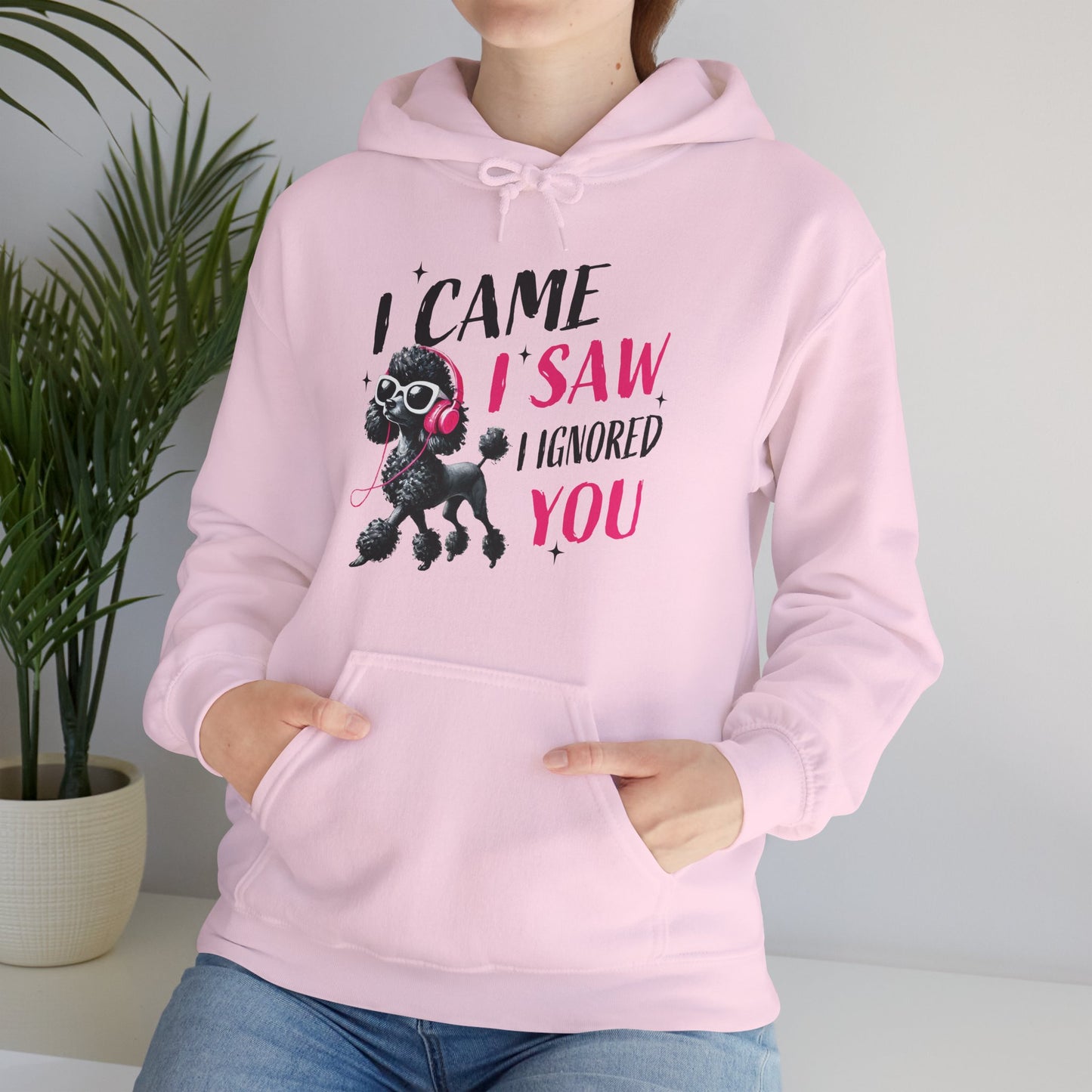I Came I Saw I Ignored You Hoodie — Funny Dog Poodle Graphic Pullover Hooded Sweatshirt