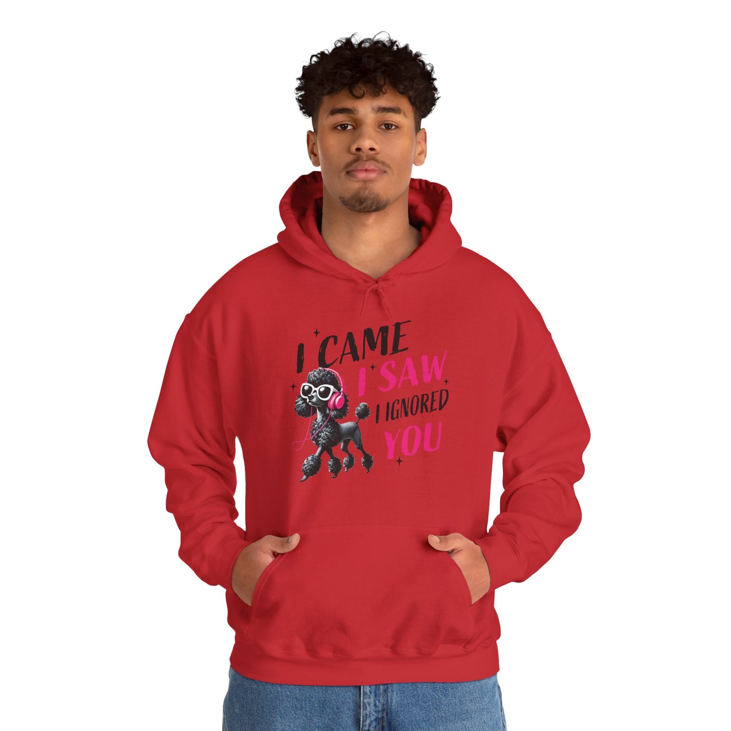 I Came I Saw I Ignored You Hoodie — Funny Dog Poodle Graphic Pullover Hooded Sweatshirt