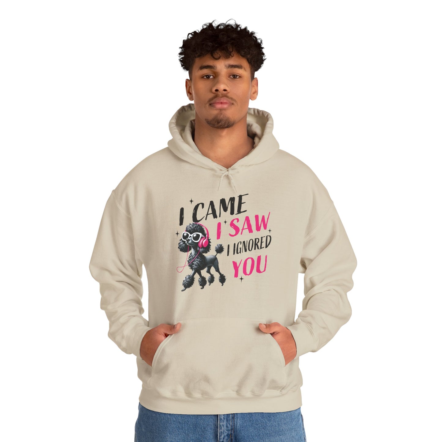I Came I Saw I Ignored You Hoodie — Funny Dog Poodle Graphic Pullover Hooded Sweatshirt
