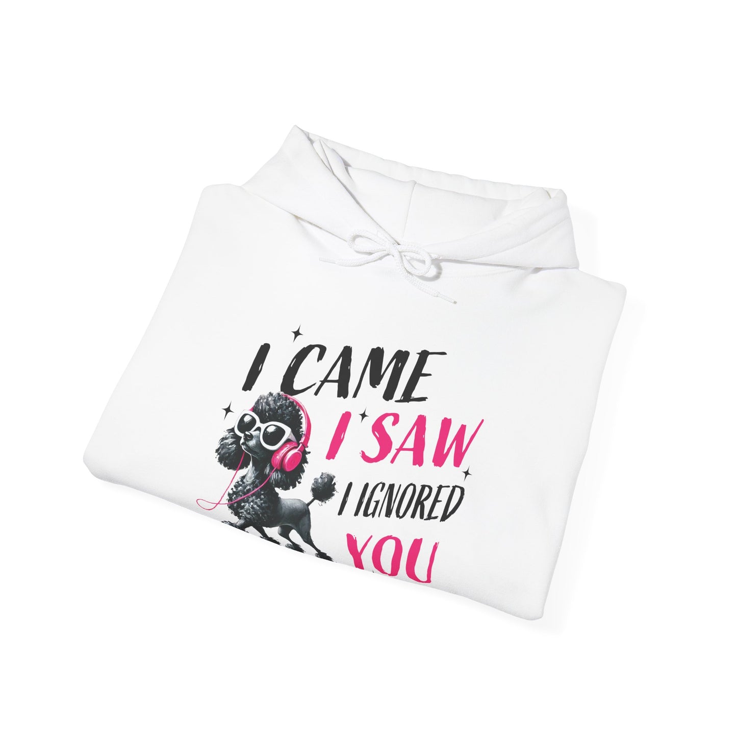 I Came I Saw I Ignored You Hoodie — Funny Dog Poodle Graphic Pullover Hooded Sweatshirt