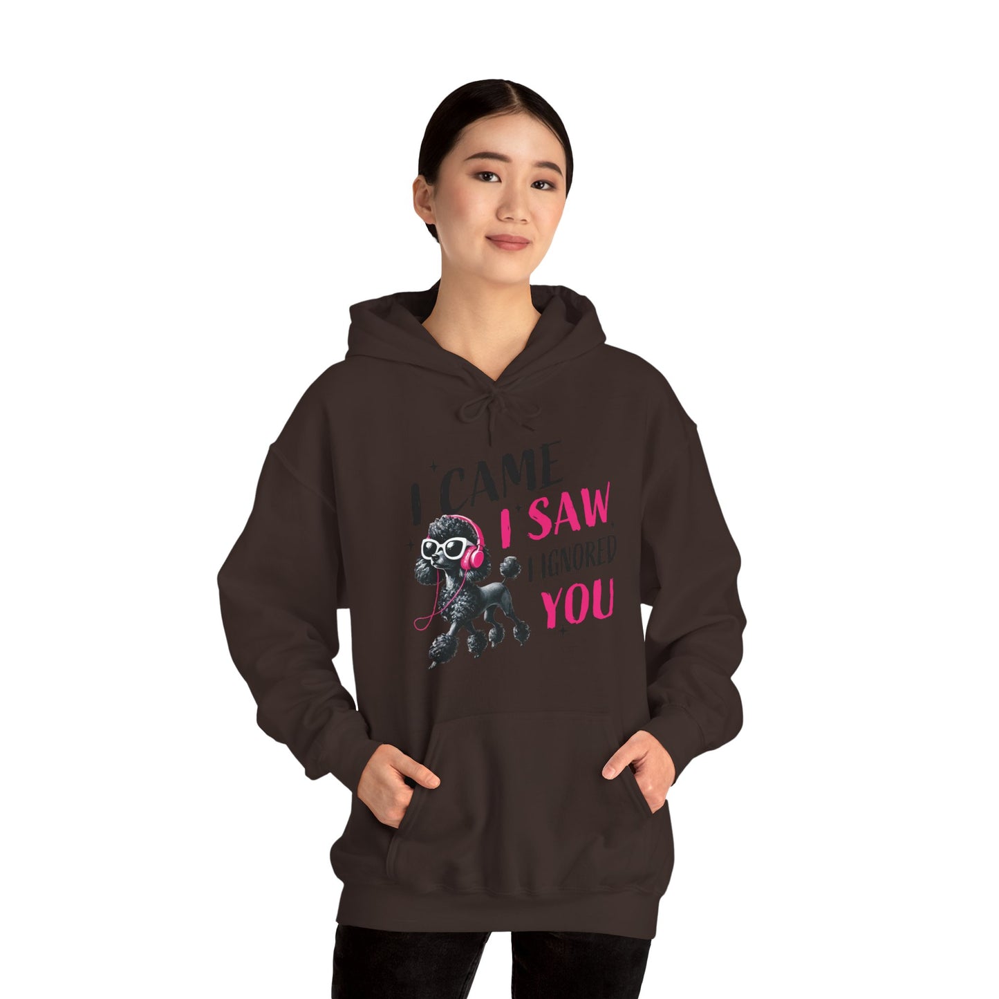 I Came I Saw I Ignored You Hoodie — Funny Dog Poodle Graphic Pullover Hooded Sweatshirt