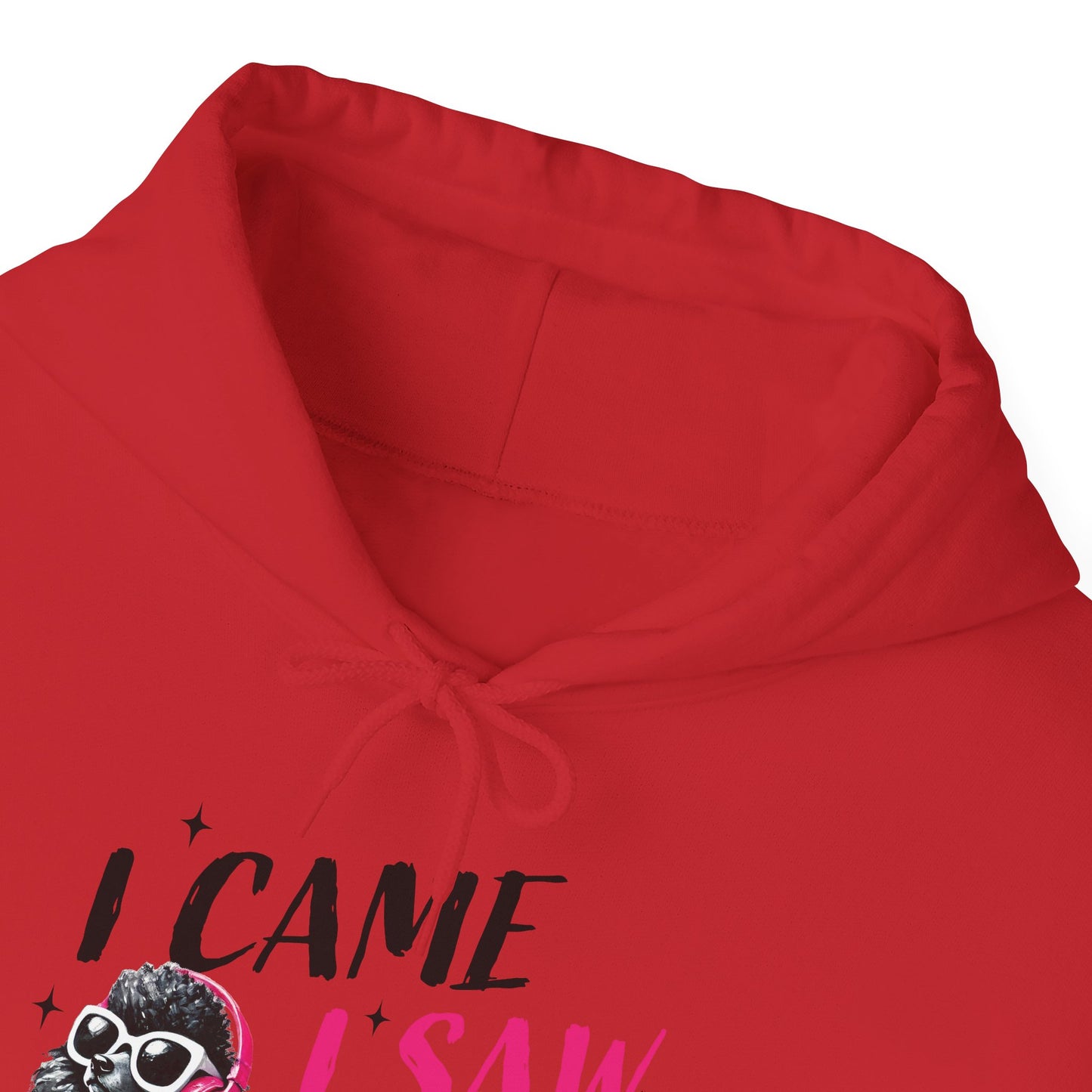 I Came I Saw I Ignored You Hoodie — Funny Dog Poodle Graphic Pullover Hooded Sweatshirt