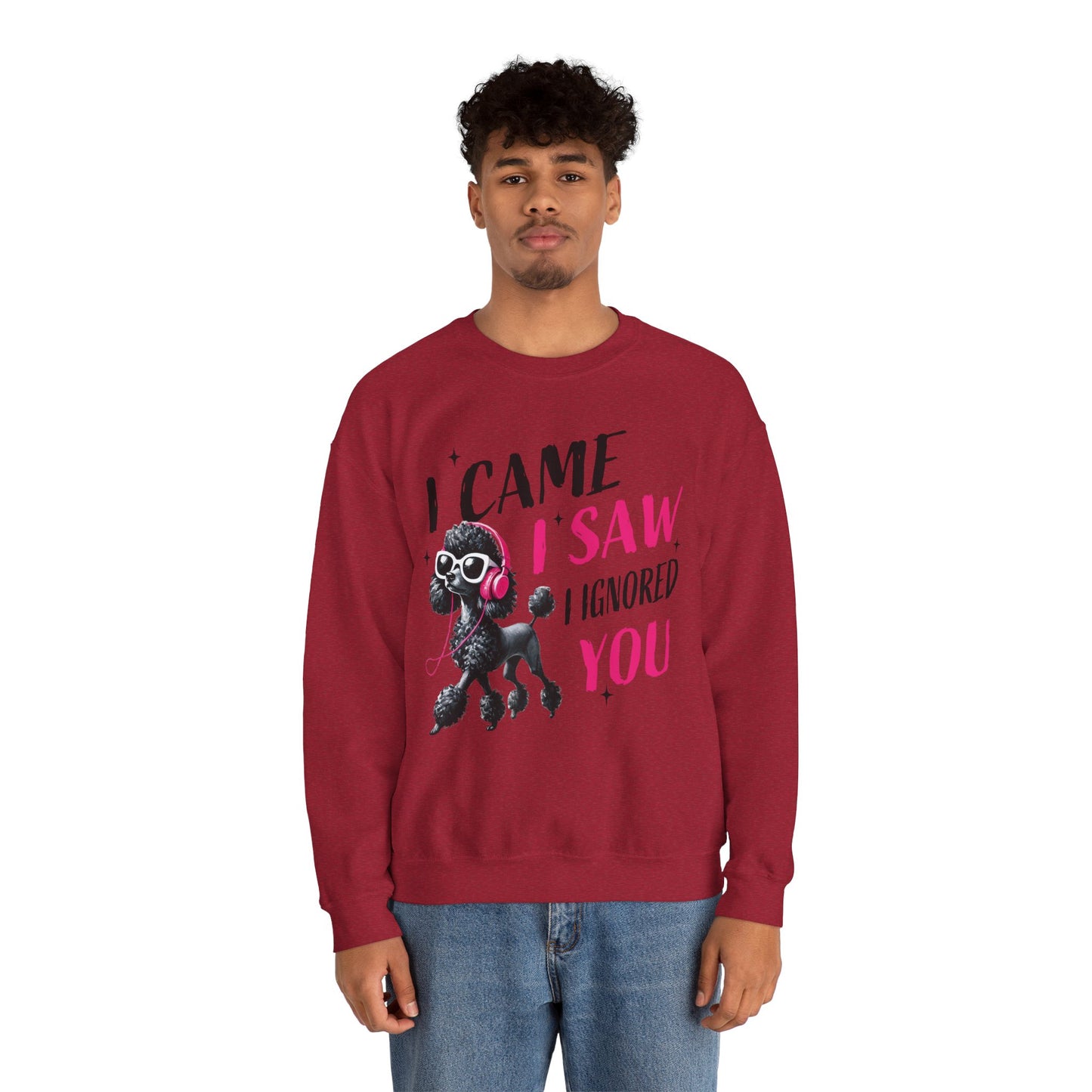 Funny Dog Crewneck Sweatshirt — I Came, I Saw, I Ignored You Poodle Graphic Sweater