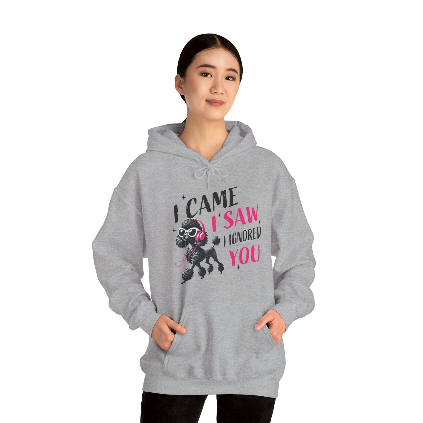 I Came I Saw I Ignored You Hoodie — Funny Dog Poodle Graphic Pullover Hooded Sweatshirt