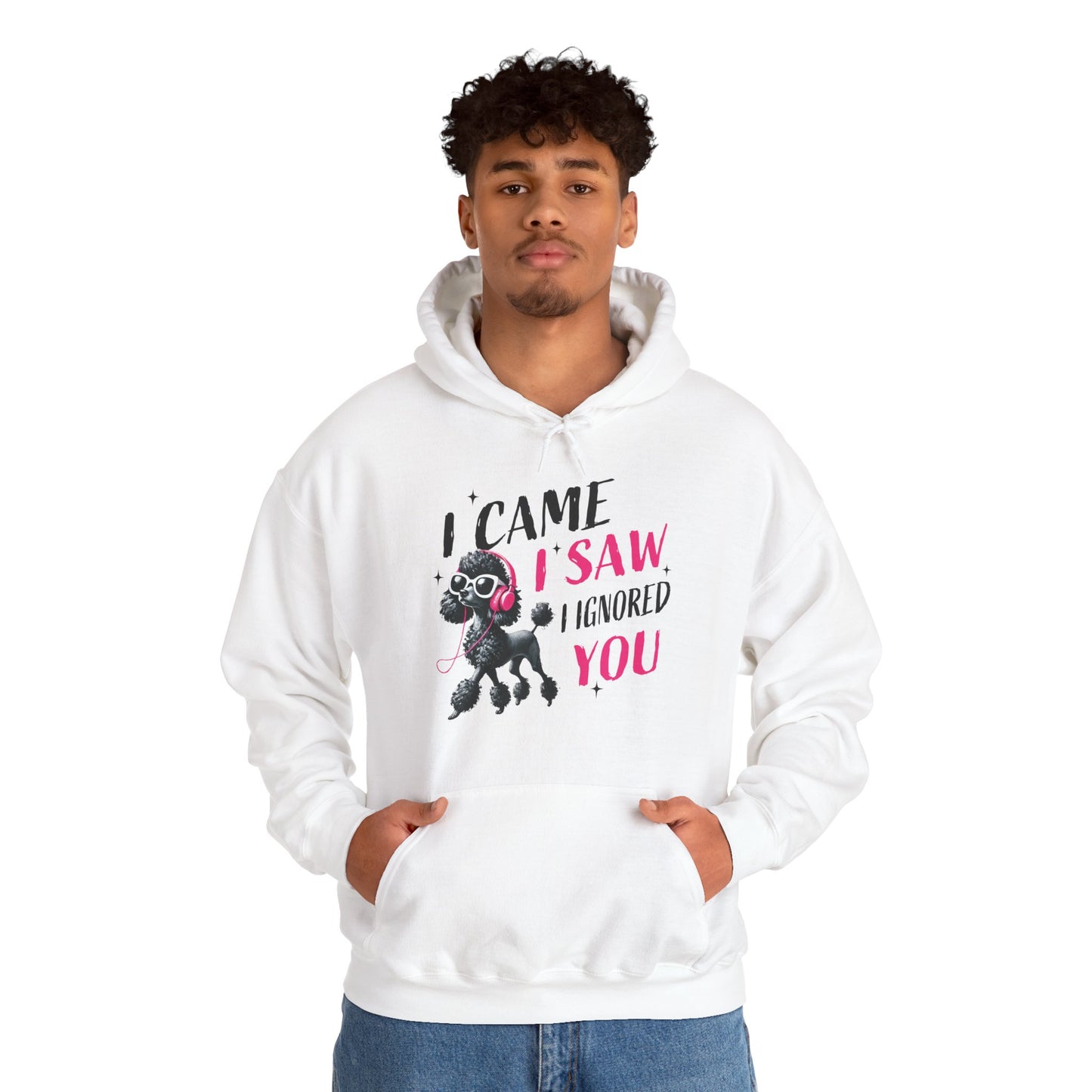 I Came I Saw I Ignored You Hoodie — Funny Dog Poodle Graphic Pullover Hooded Sweatshirt