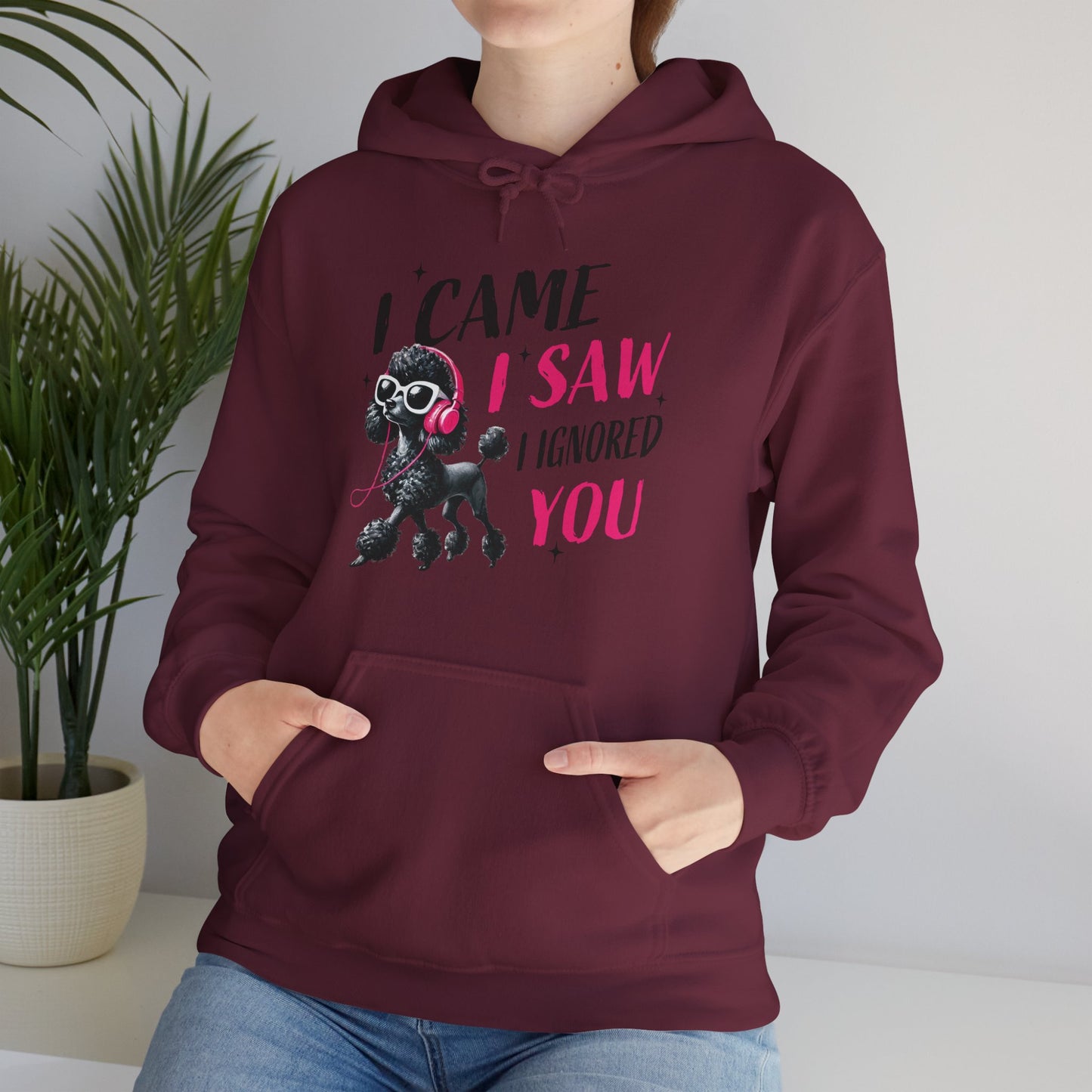 I Came I Saw I Ignored You Hoodie — Funny Dog Poodle Graphic Pullover Hooded Sweatshirt