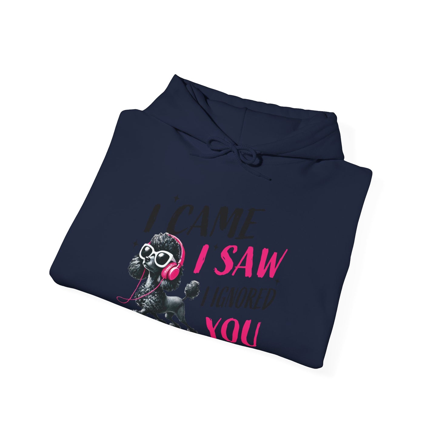 I Came I Saw I Ignored You Hoodie — Funny Dog Poodle Graphic Pullover Hooded Sweatshirt