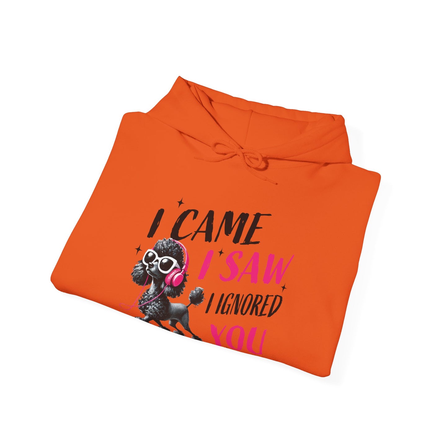 I Came I Saw I Ignored You Hoodie — Funny Dog Poodle Graphic Pullover Hooded Sweatshirt