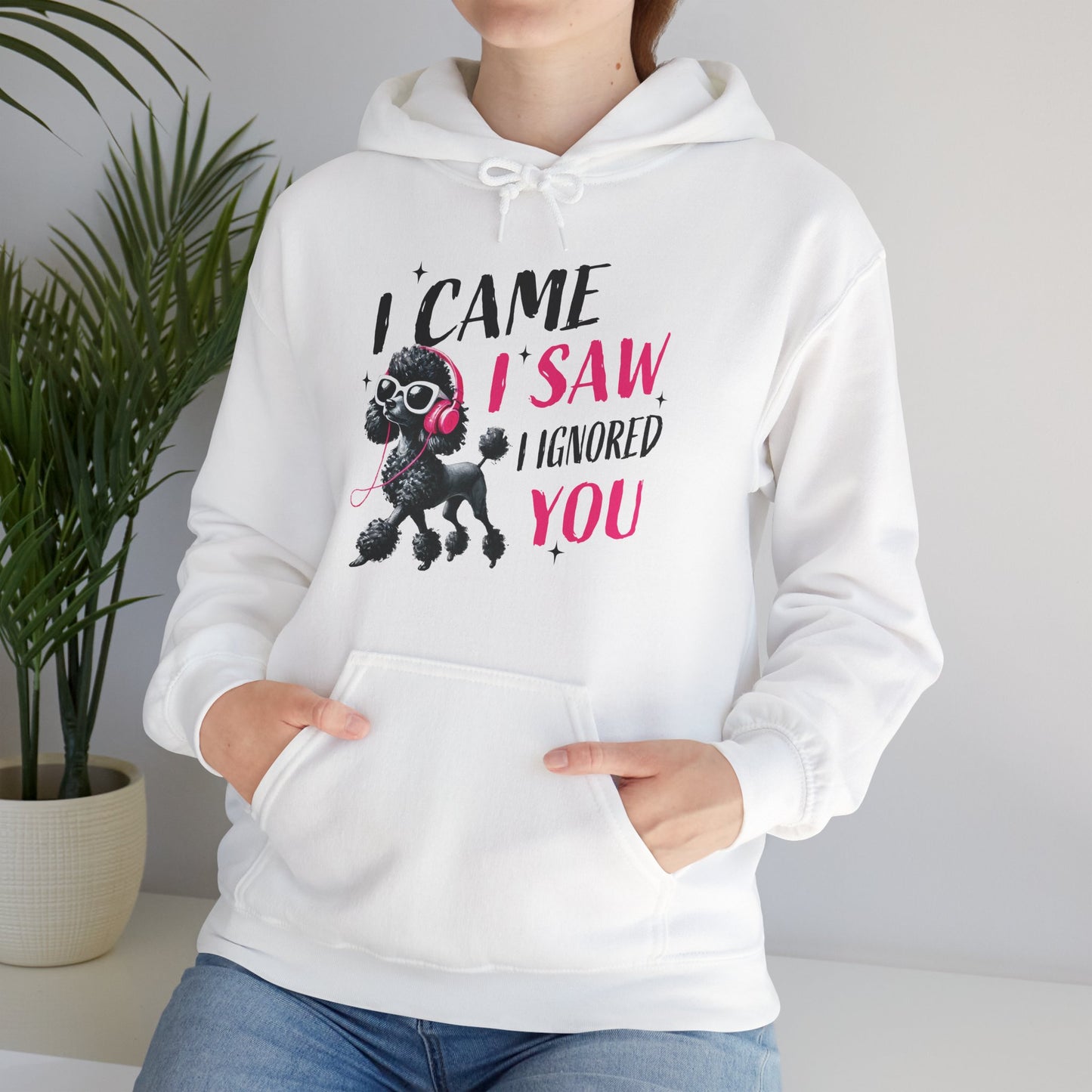 I Came I Saw I Ignored You Hoodie — Funny Dog Poodle Graphic Pullover Hooded Sweatshirt