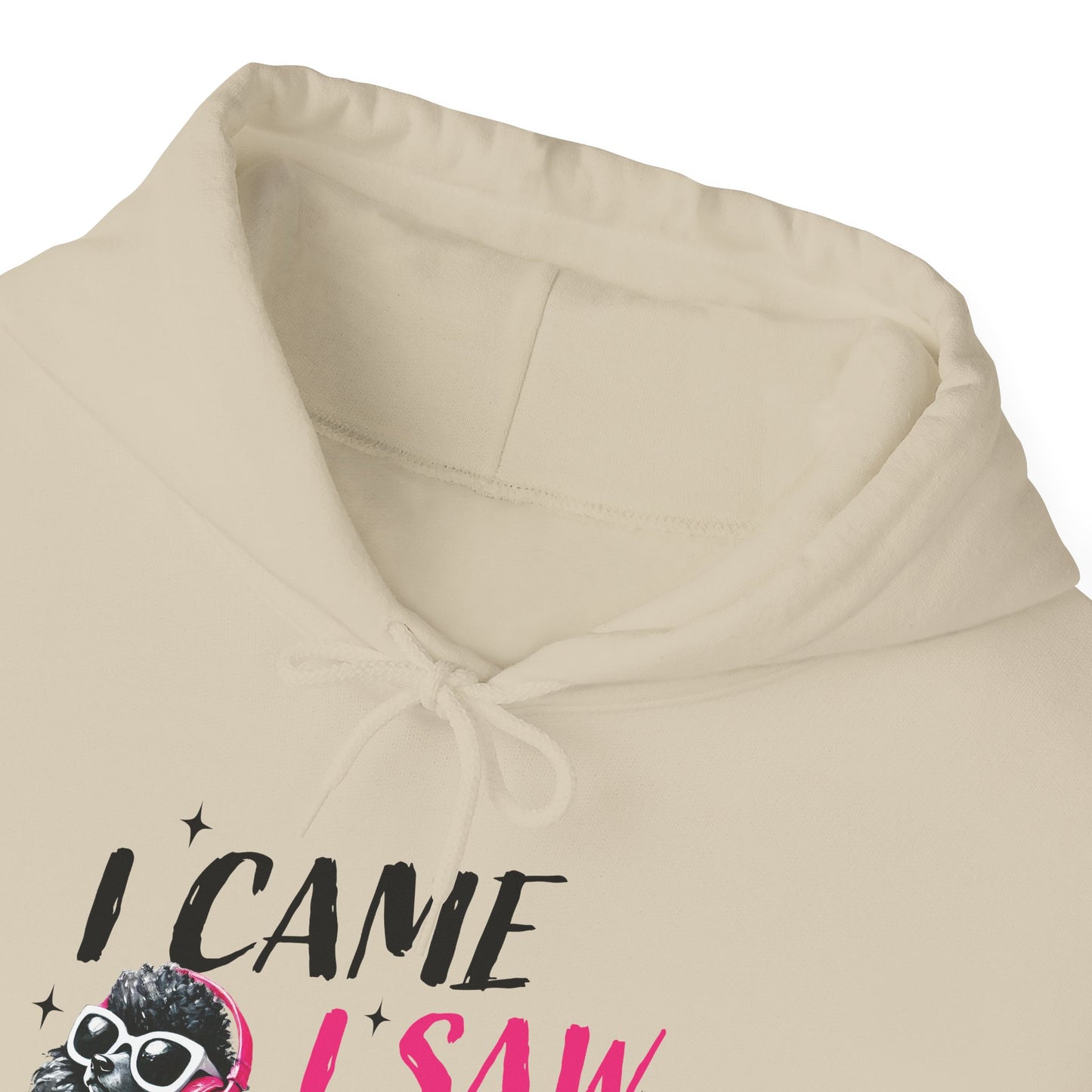 I Came I Saw I Ignored You Hoodie — Funny Dog Poodle Graphic Pullover Hooded Sweatshirt